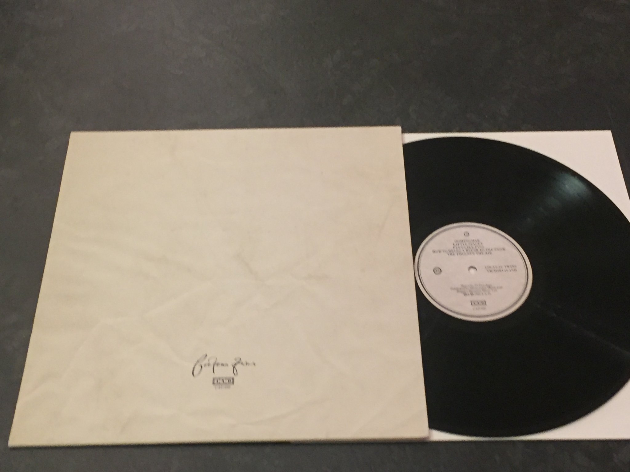Omslagsbild för skivan COCTEAU TWINS victorialand LP -86 UK 4AD CAD 602
