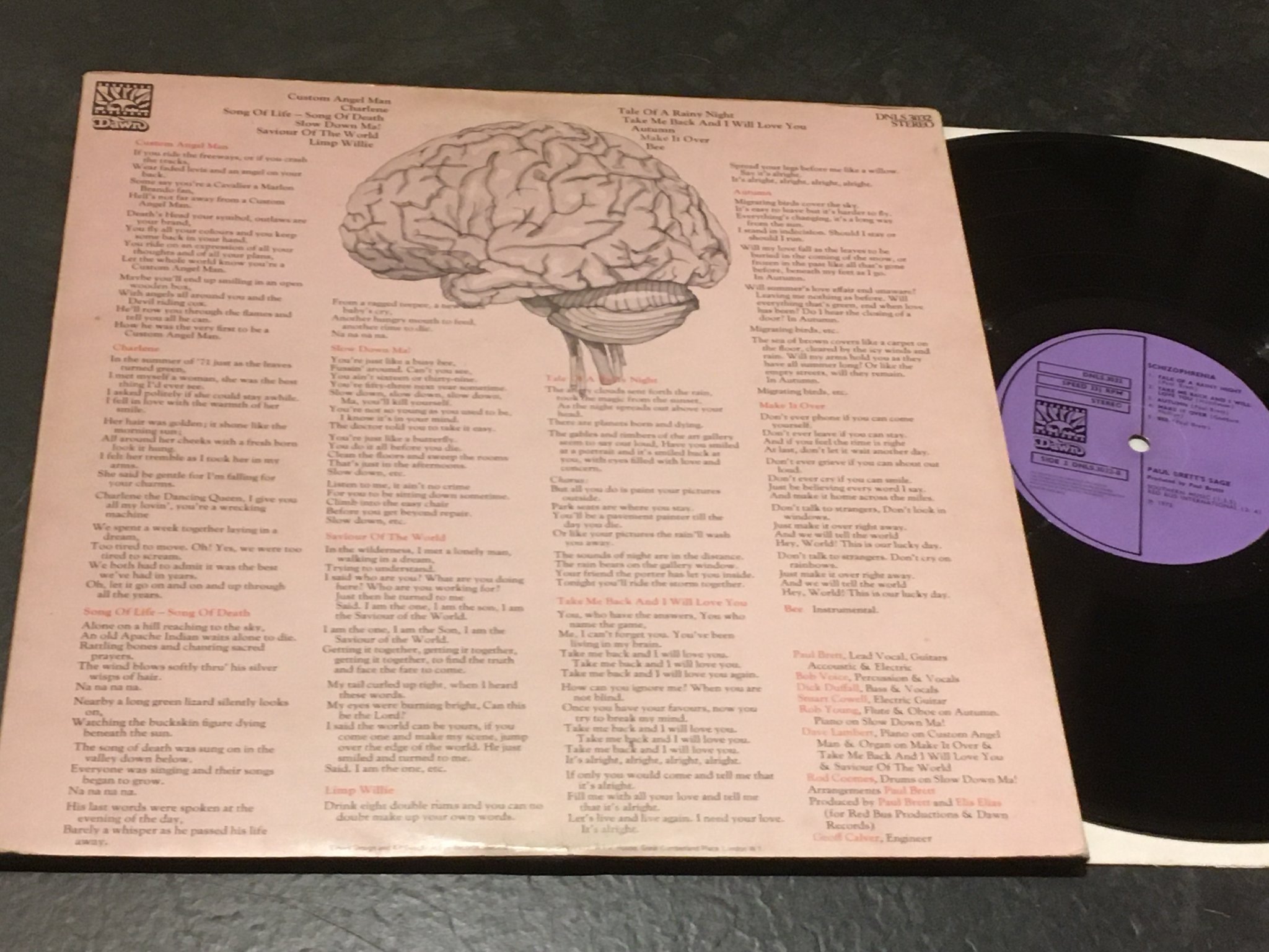 Omslagsbild för skivan PAUL BRETT’S SAGE schizophrenia LP -72 UK DAWN DNLS 3032