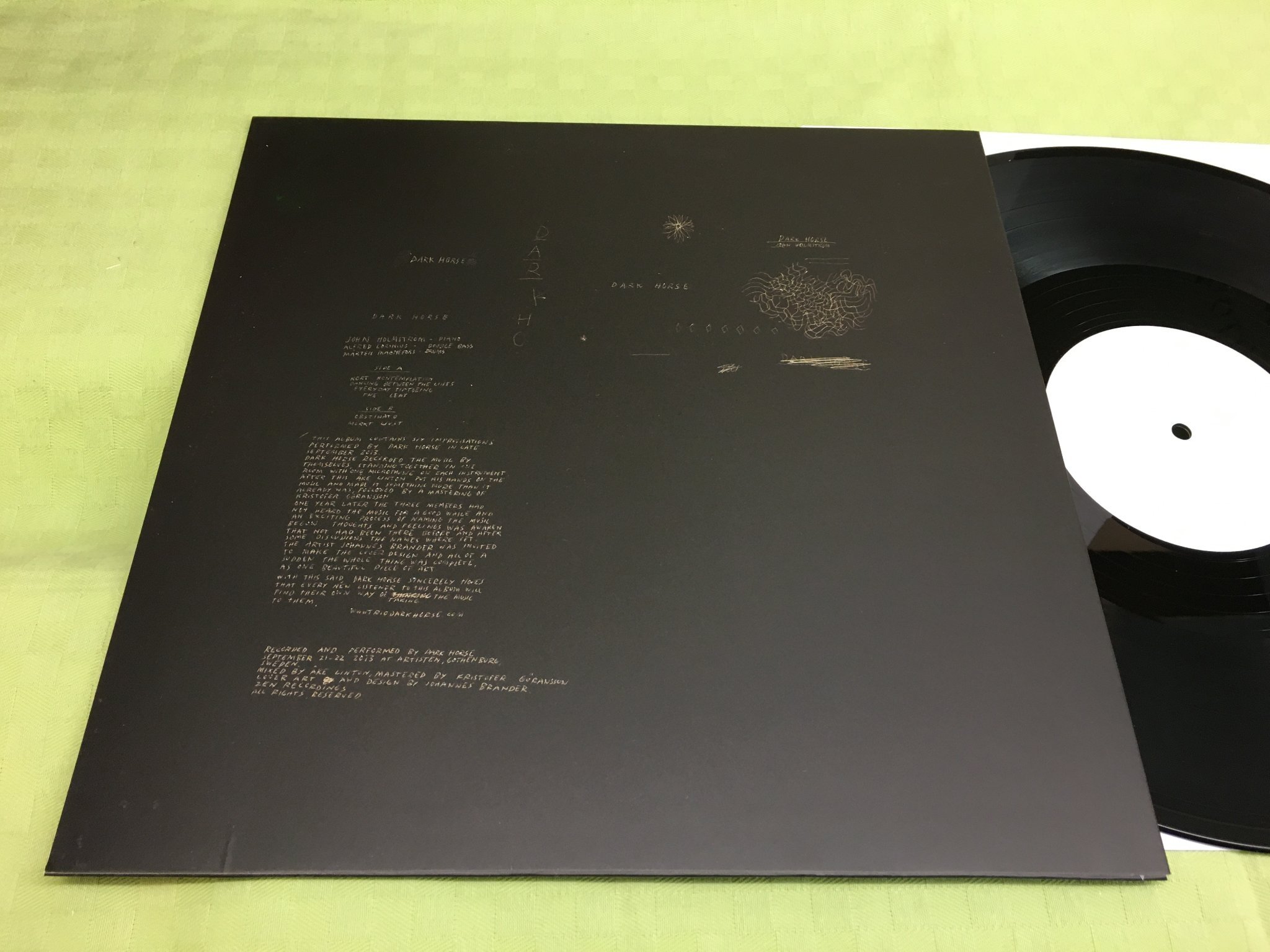 Omslagsbild för skivan JOHN HOLMSTRÖM dark horse LP 2014 ZEN RECORDINGS rare!