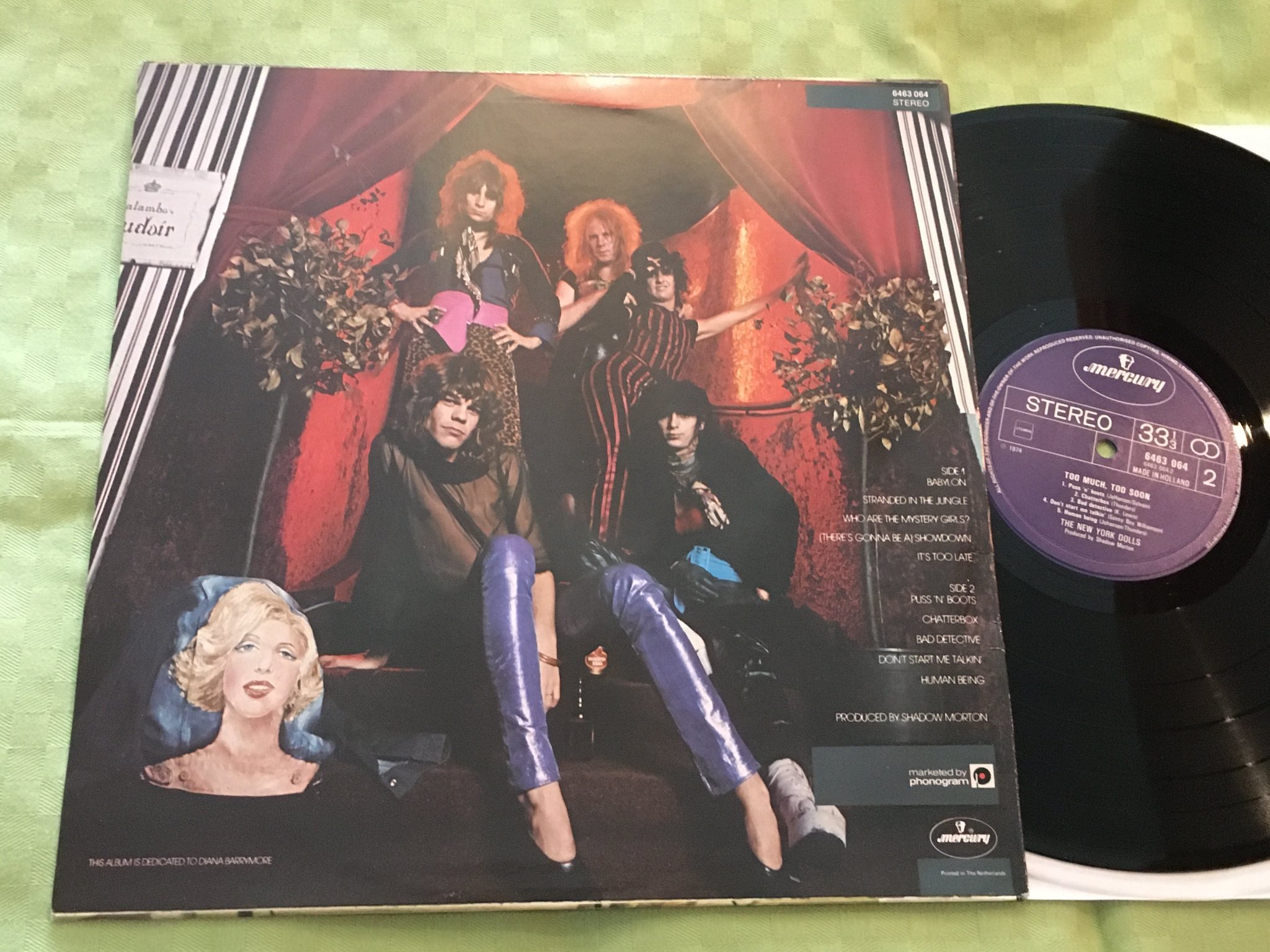 Omslagsbild för skivan THE NEW YORK DOLLS too much too soon LP -74 Hol MERCURY 6463 064 