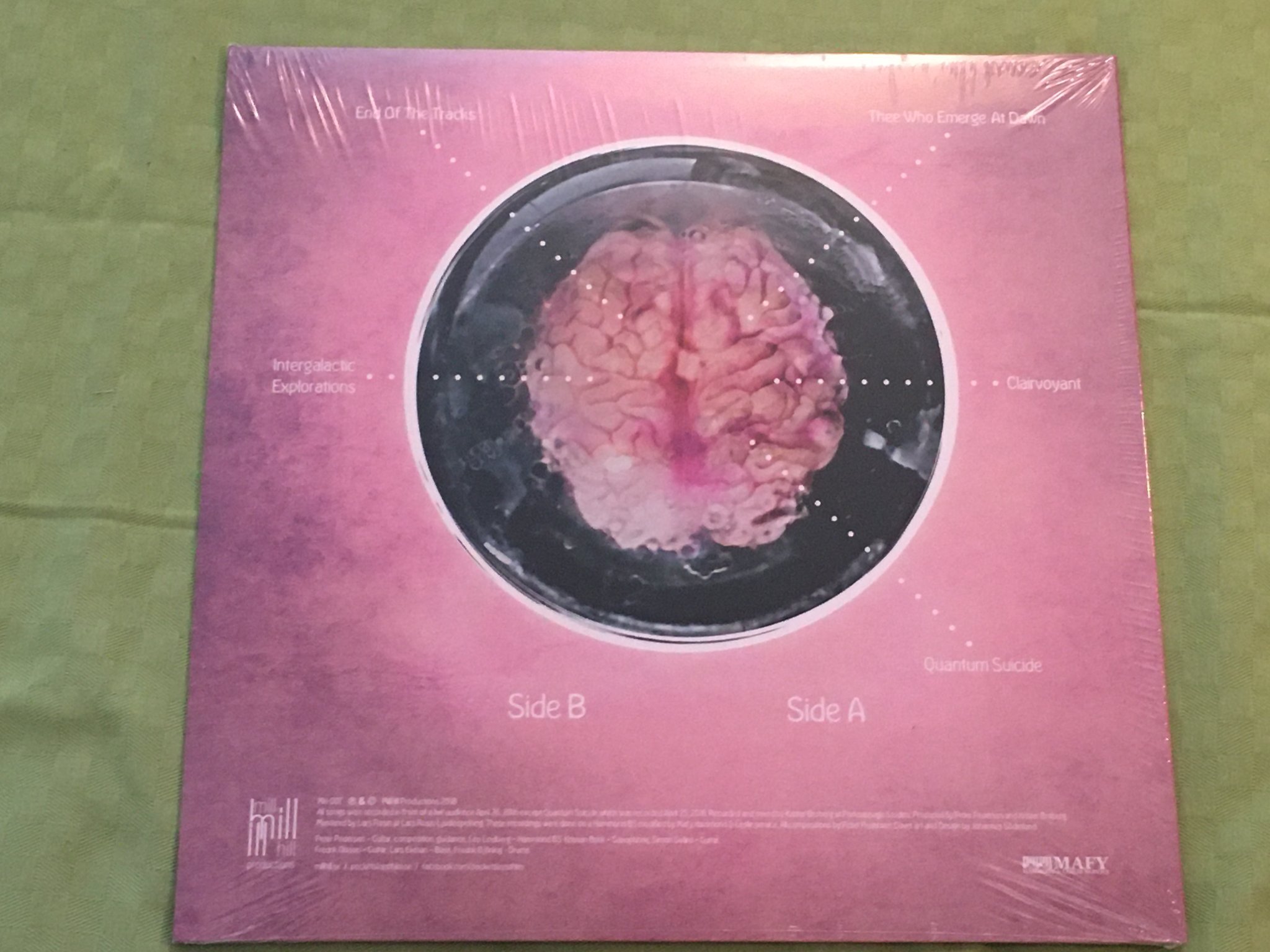 Omslagsbild för skivan POCKET SIZE cleaning the mirror vol 2 LP 2014 Swe MILL-HILL LP MH-007 rock