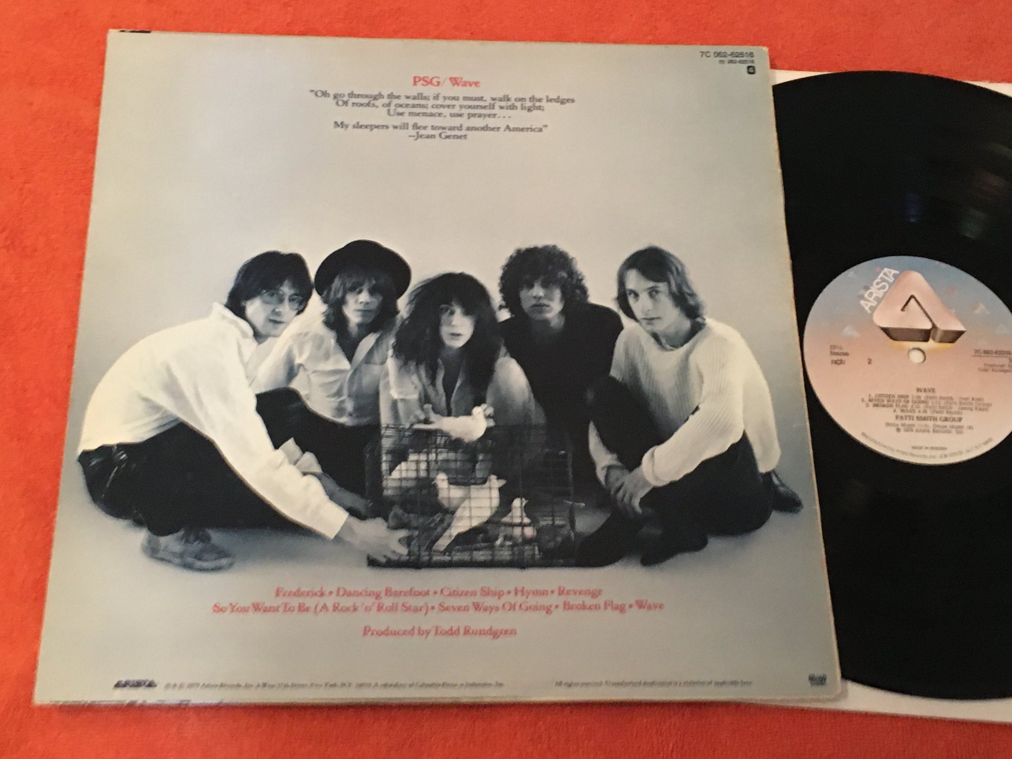 Omslagsbild för skivan 2 st album med PATTI SMITH se bild