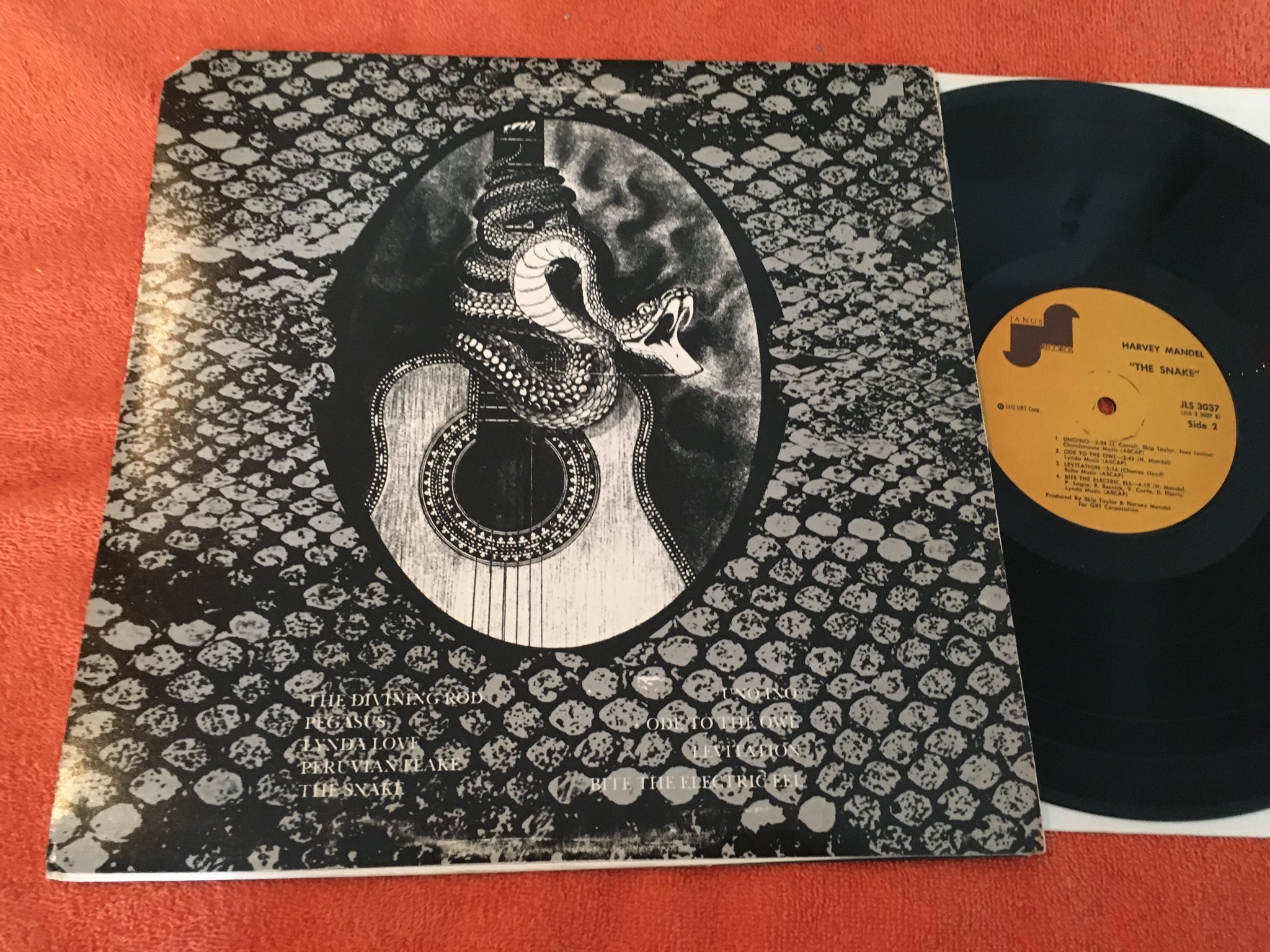 Omslagsbild för skivan HARVEY MANDEL the snake LP -72 US JANUS JLS 3037