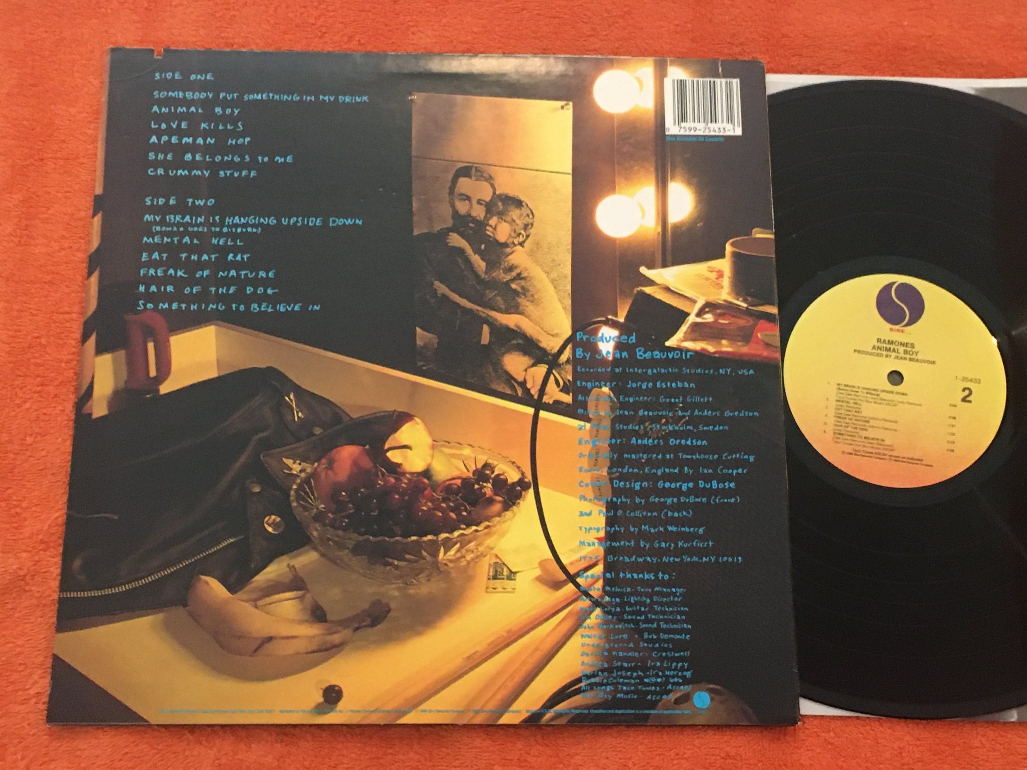 Omslagsbild för skivan RAMONES animal boy LP -86 US SIRE 1-25433 