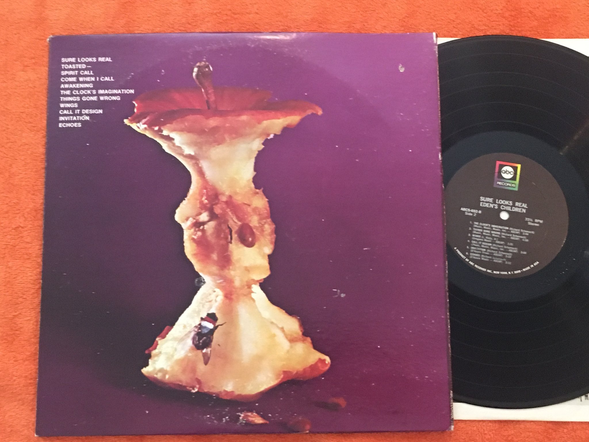 Omslagsbild för skivan EDEN’S CHILDREN sure looks real LP -68 US ABC RECORDS ABCS-652