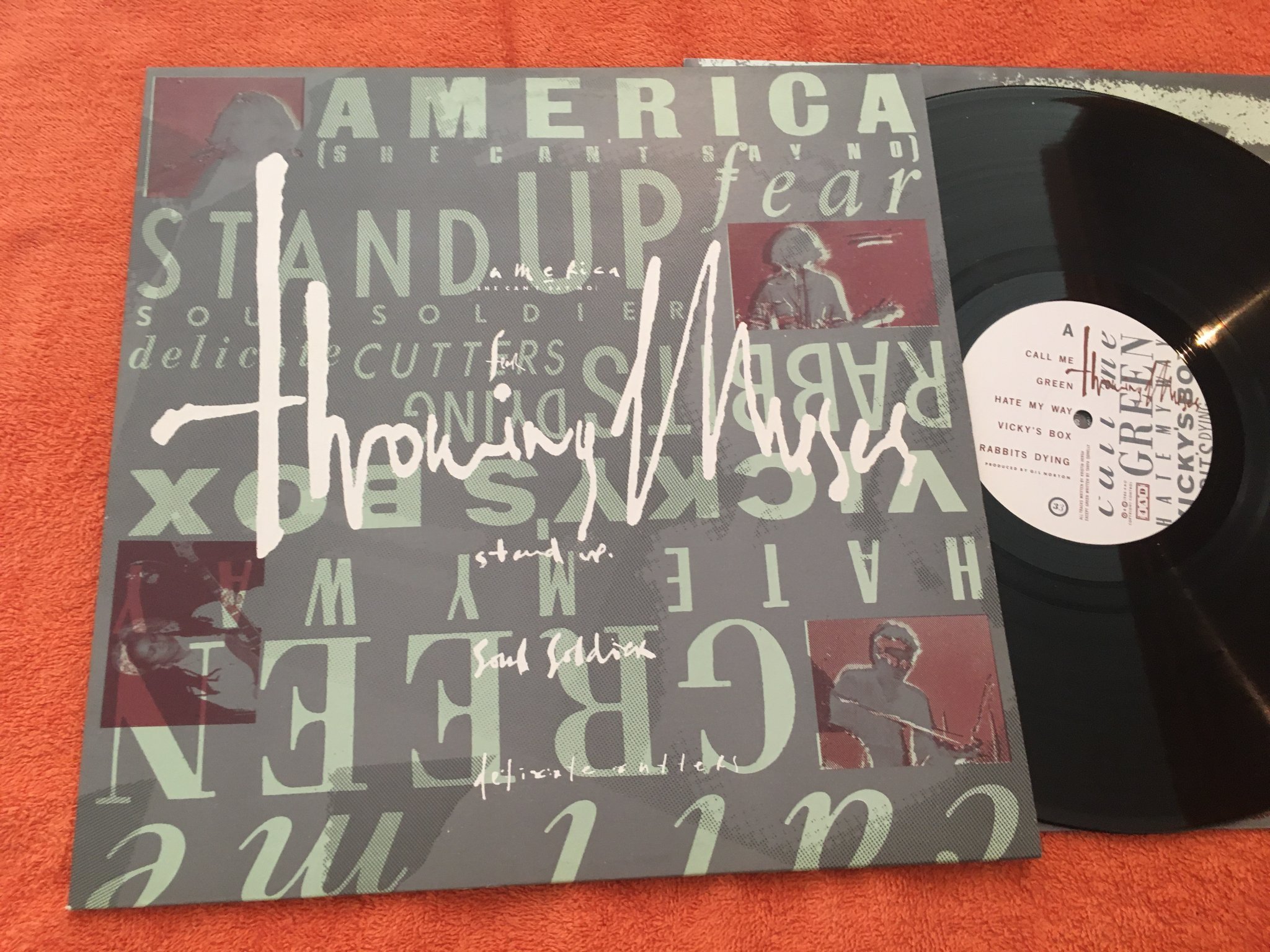 Omslagsbild för skivan THROWING MUSES s/t LP -86 4AD CAD 607 alternative rock