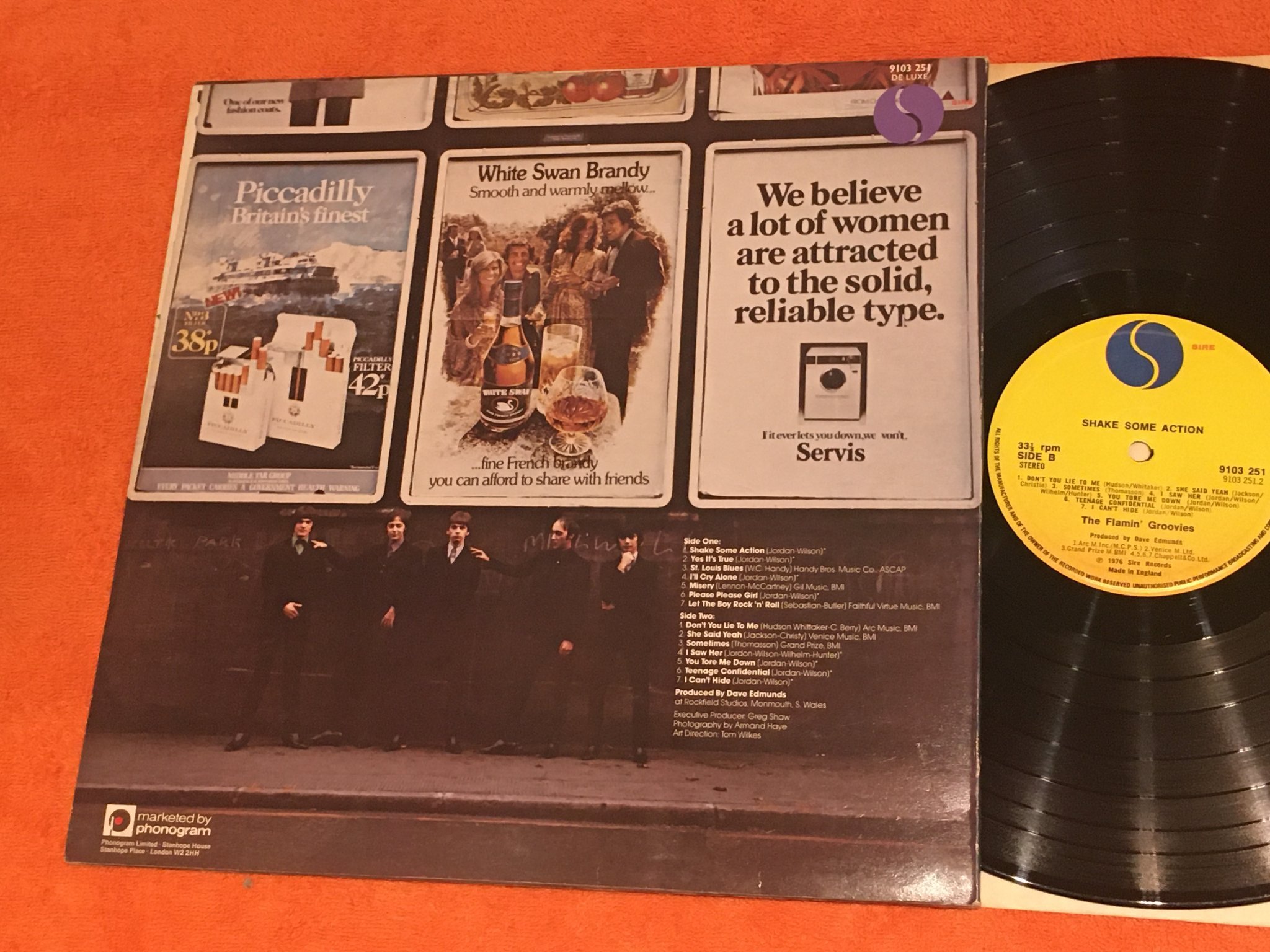 Omslagsbild för skivan FLAMIN' GROOVIES shake some action LP -76 UK SIRE 9103 251