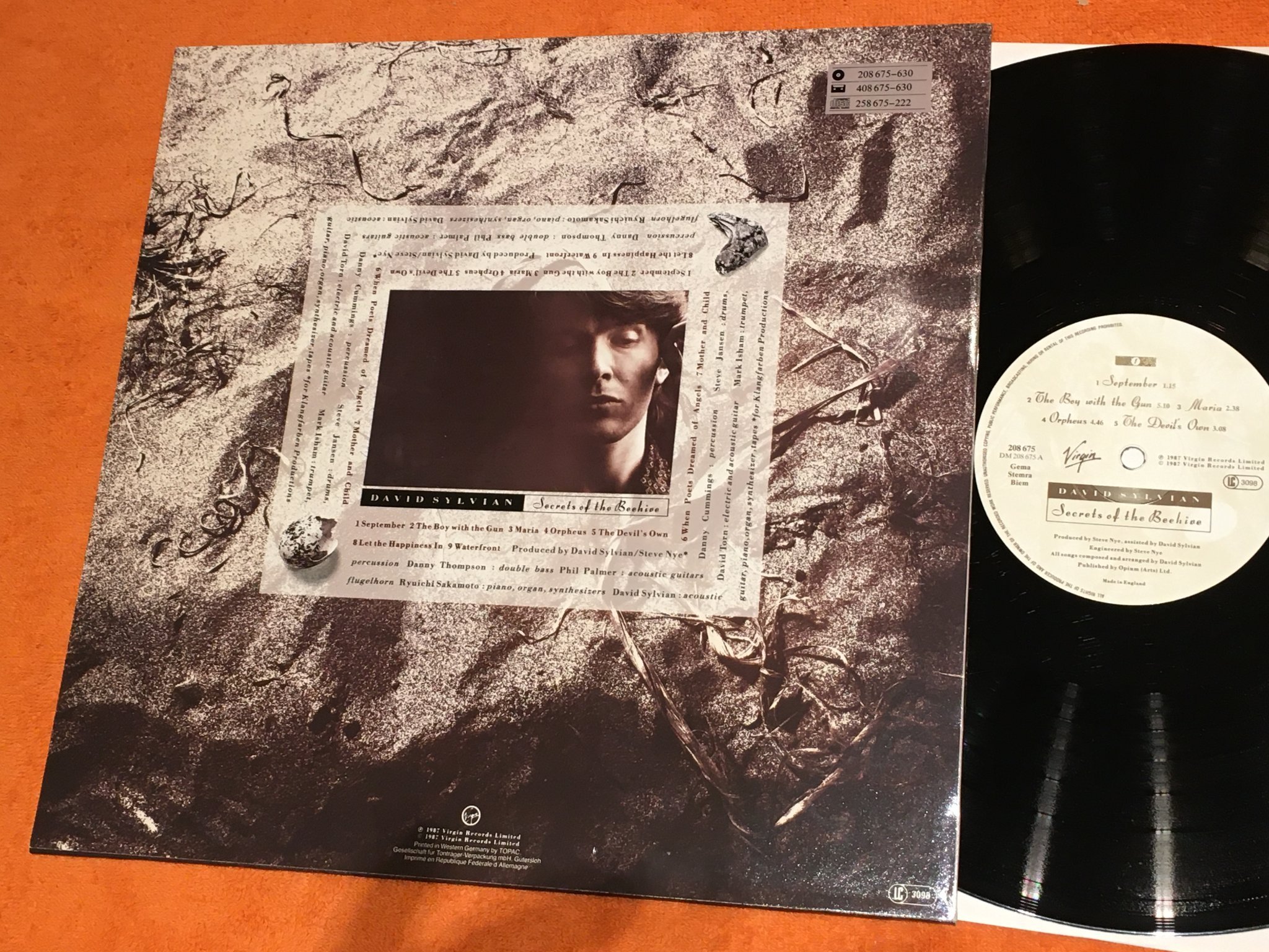 Omslagsbild för skivan DAVID SYLVAIN Secrets Of The Beehive LP -87 VIRGIN 208 675