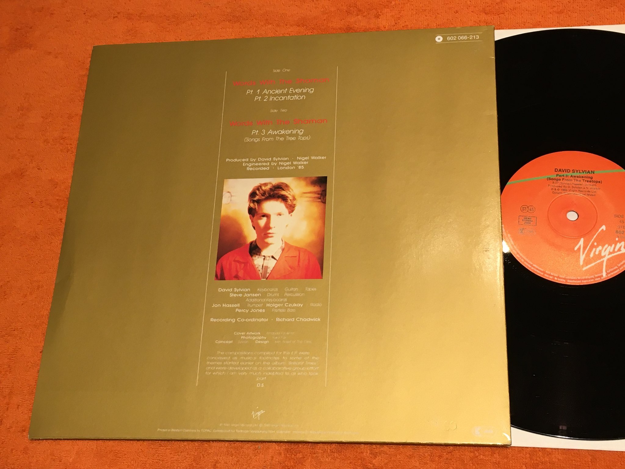 Omslagsbild för skivan DAVID SYLVAIN Words With The Shaman 12"EP -85 VIRGIN   602 066   