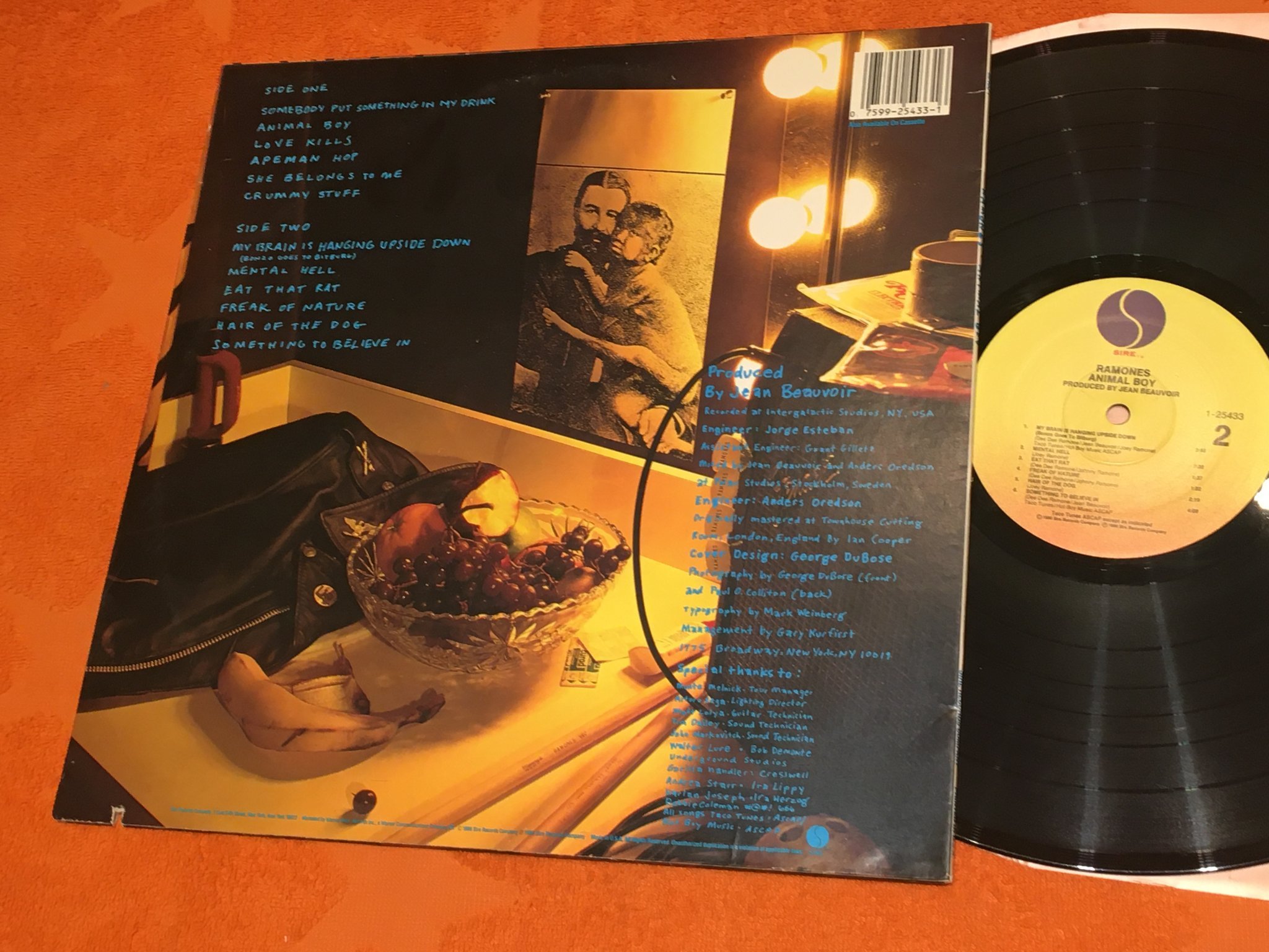 Omslagsbild för skivan RAMONES animal boy LP -85 SIRE 1-25433