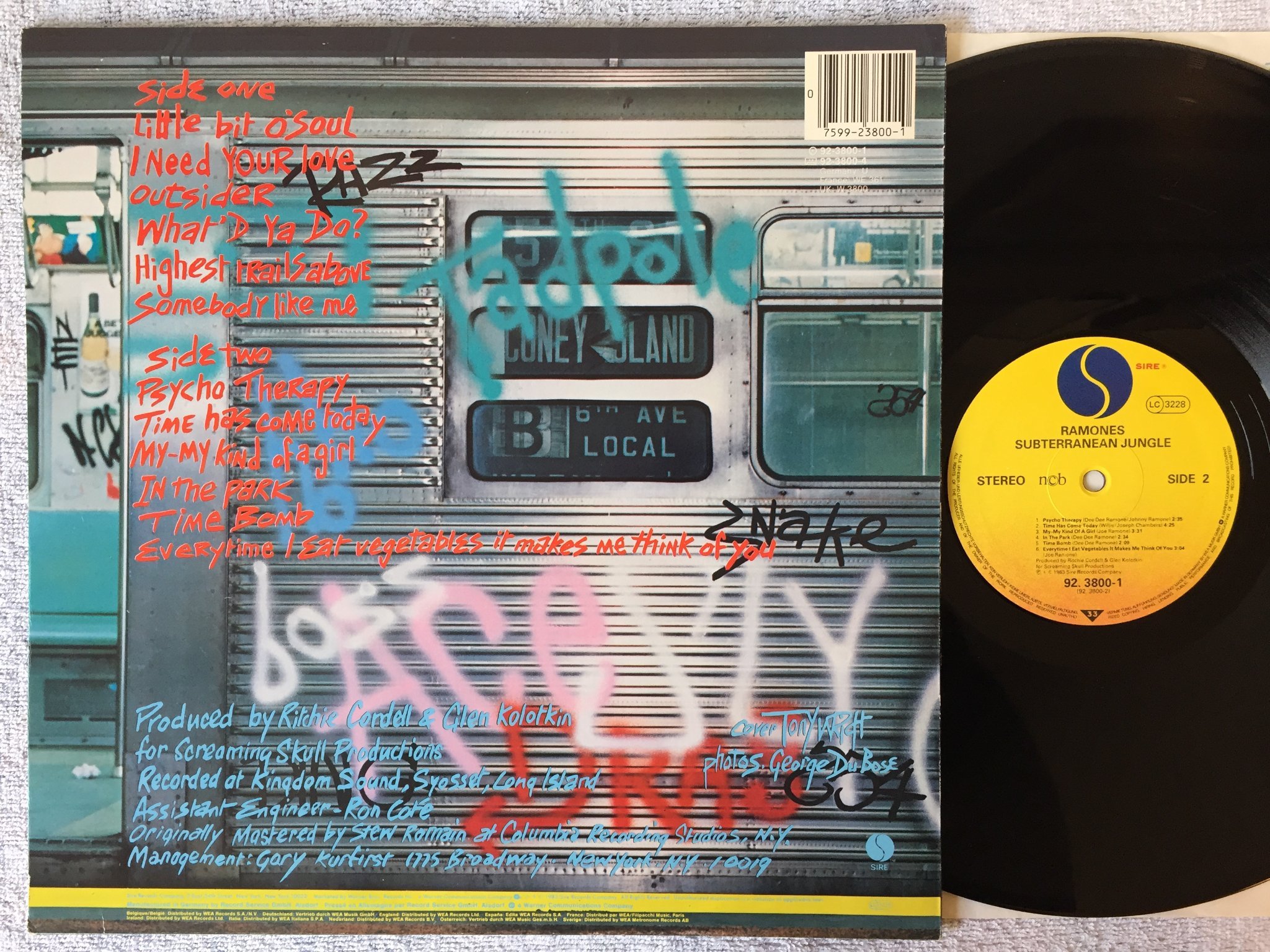 Omslagsbild för skivan RAMONES subterranean jungle LP   Eu SIRE 923800-1