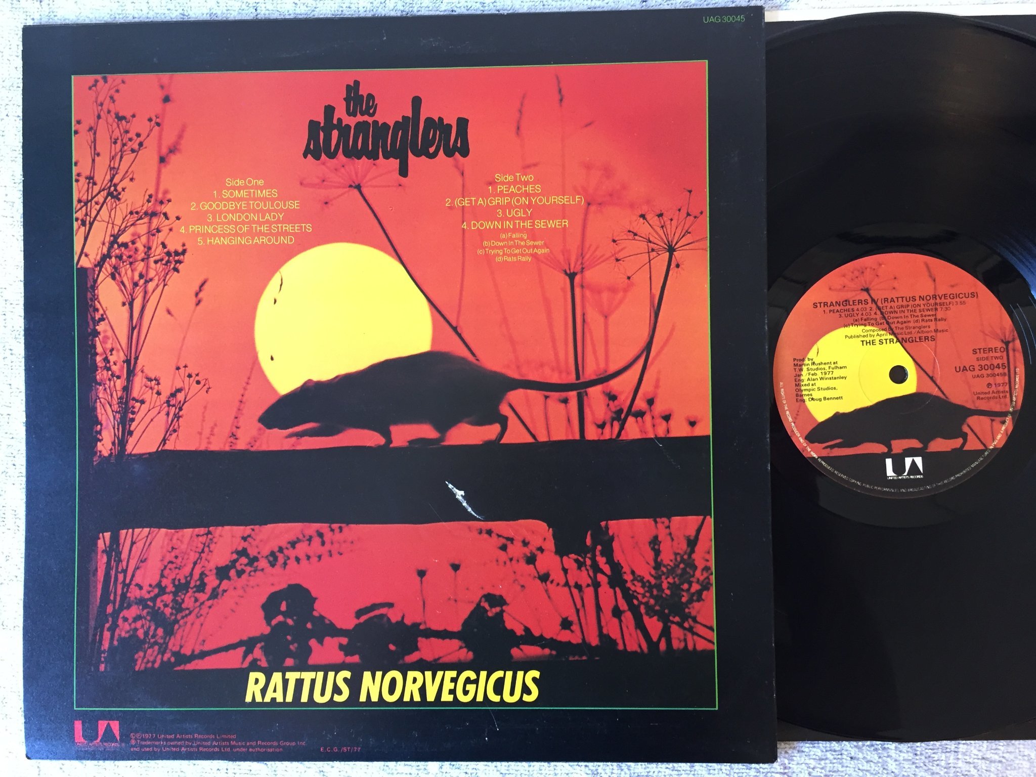 Omslagsbild för skivan THE STRANGLERS IV (rattus norvegicus) LP -77 UK. UNITED UAG 30045