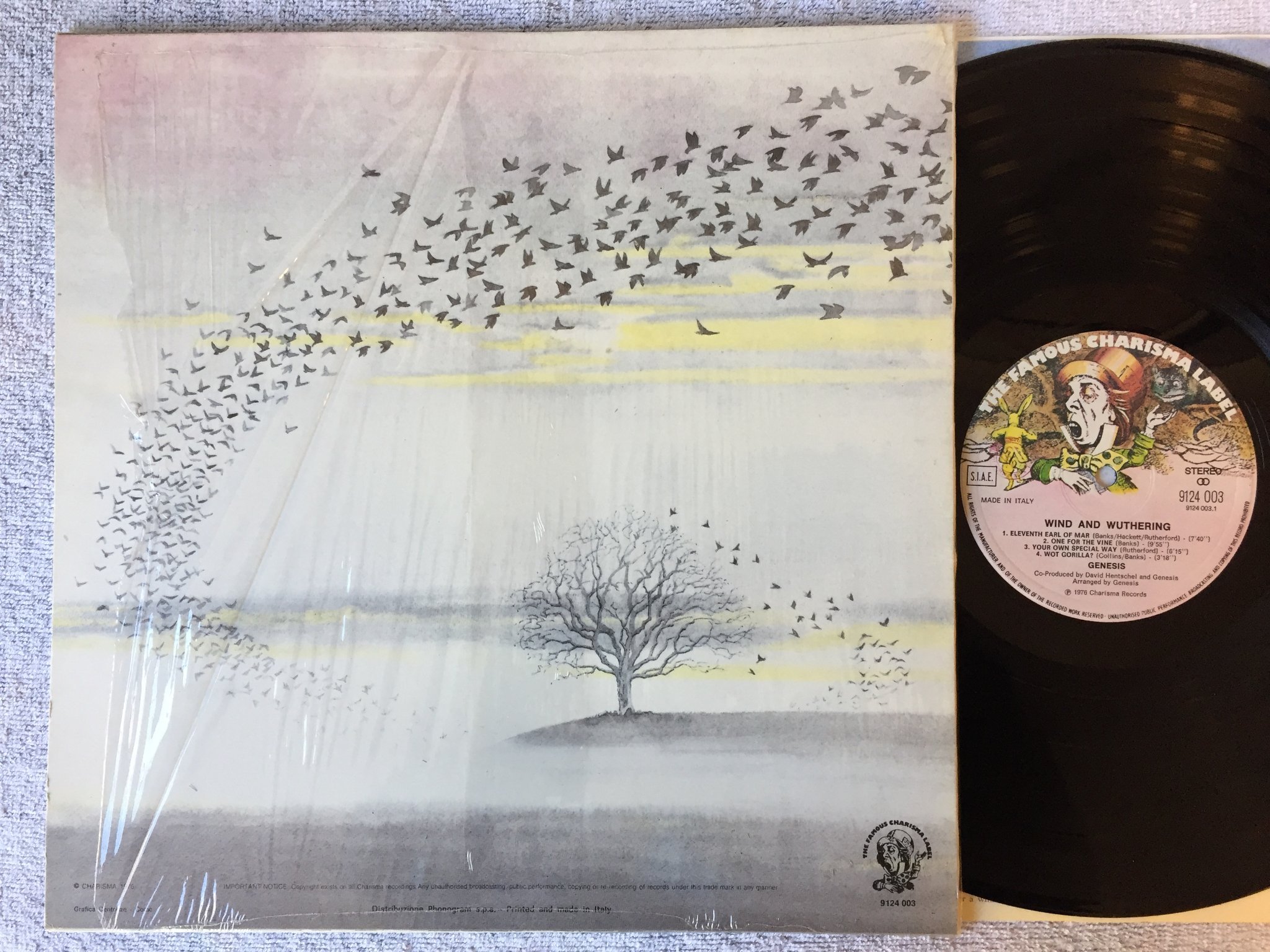 Omslagsbild för skivan GENESIS wind and wuthering LP -76 Ita CHARISMA 9124003