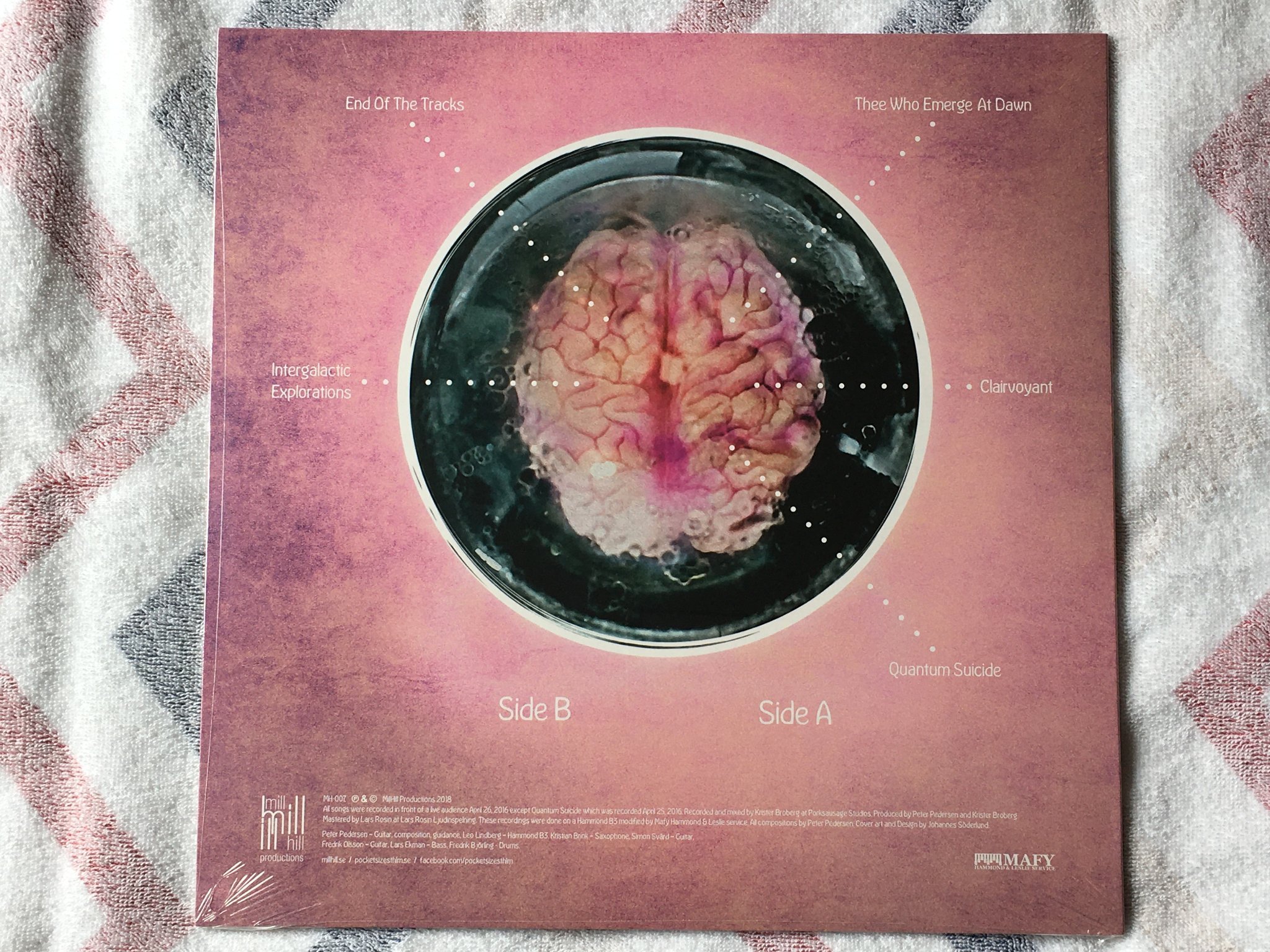 Omslagsbild för skivan POCKET SIZE Immortality - Cleaning The Mirror, Volume 2 LP 2018 Swe STILL SEALED