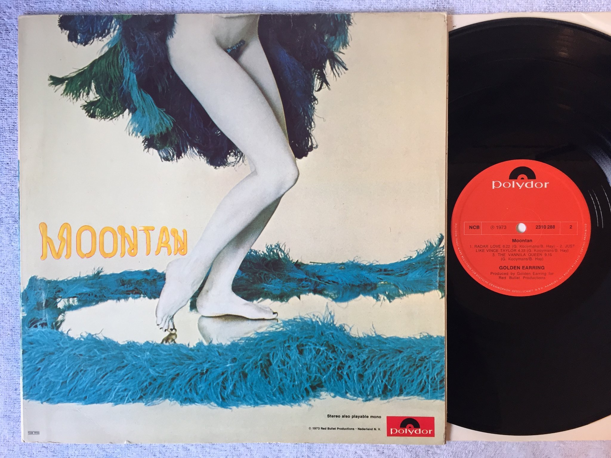 Omslagsbild för skivan GOLDEN EARRING moontain LP -73 Swe POLYDOR 2310288