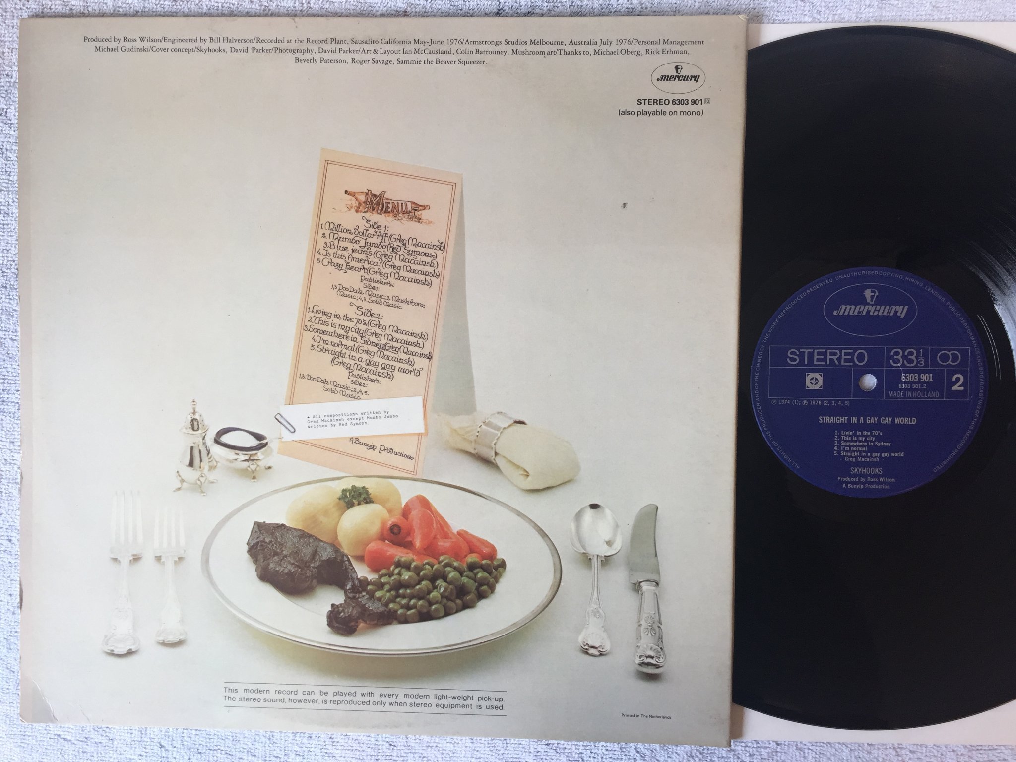 Omslagsbild för skivan SKYHOOKS straight in a gay gay world LP Hol MERCURY 6303901