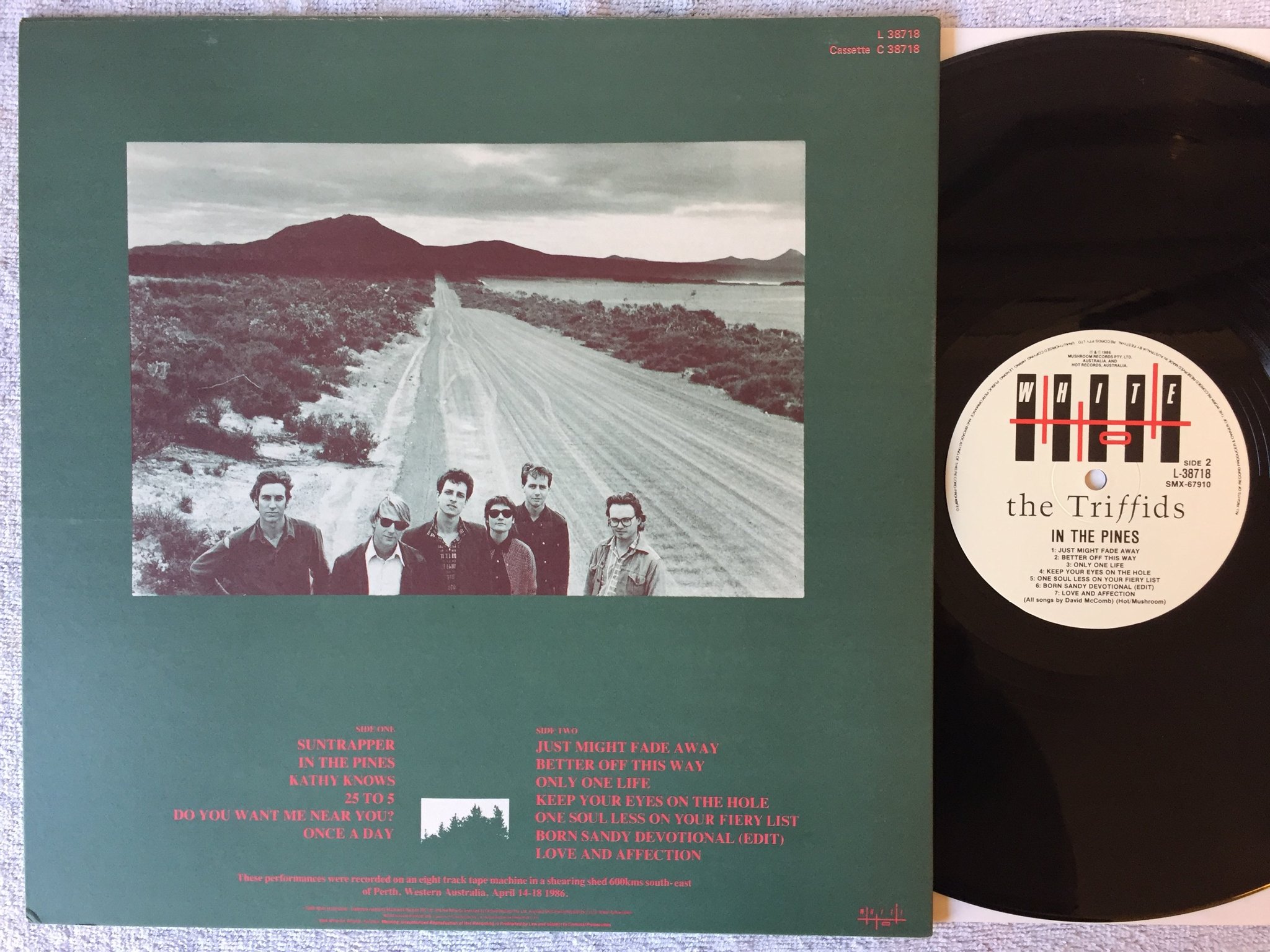 Omslagsbild för skivan THE TRIFFIDS in the pines LP -86 Australia WHITE HOT L-38718