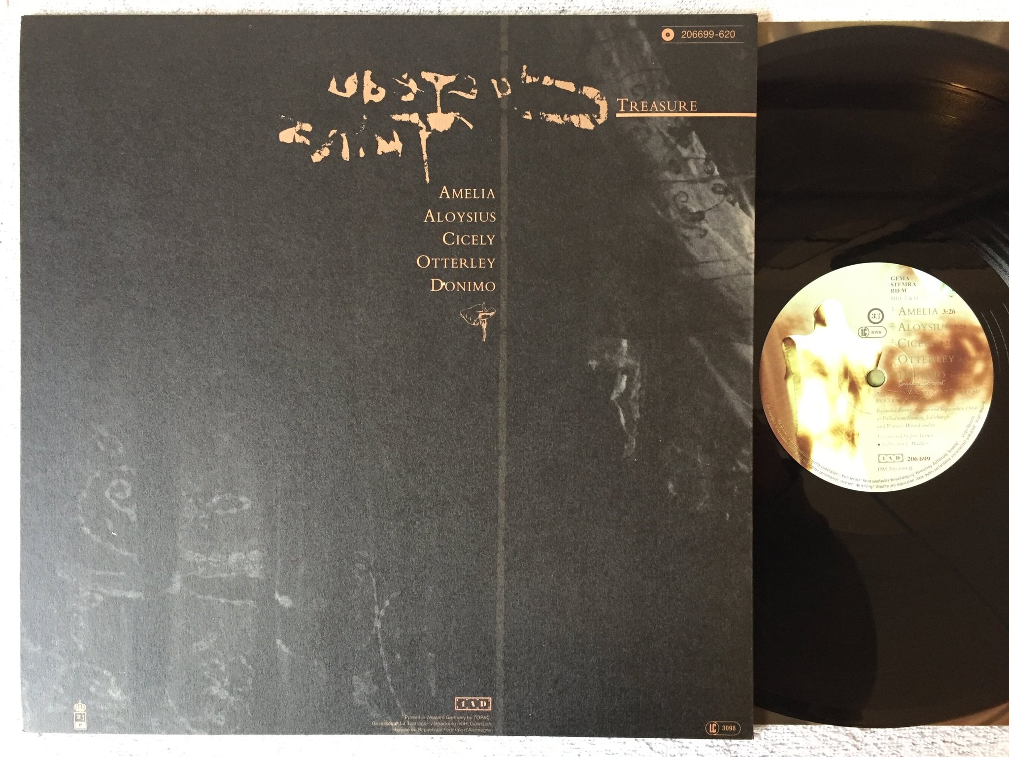 Omslagsbild för skivan COCTEAU TWINS Treasure LP -84 Ger 4AD 206 699