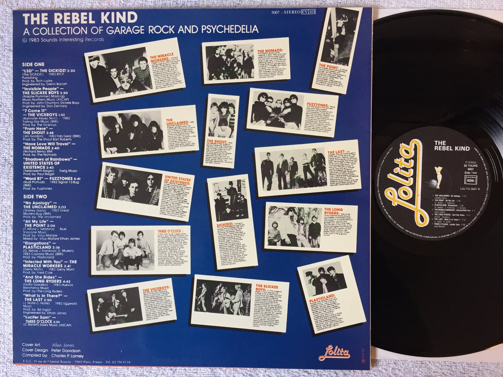 Omslagsbild för skivan V/A the rebel kind LP -83 Fra LOLITA 5007 garage rock