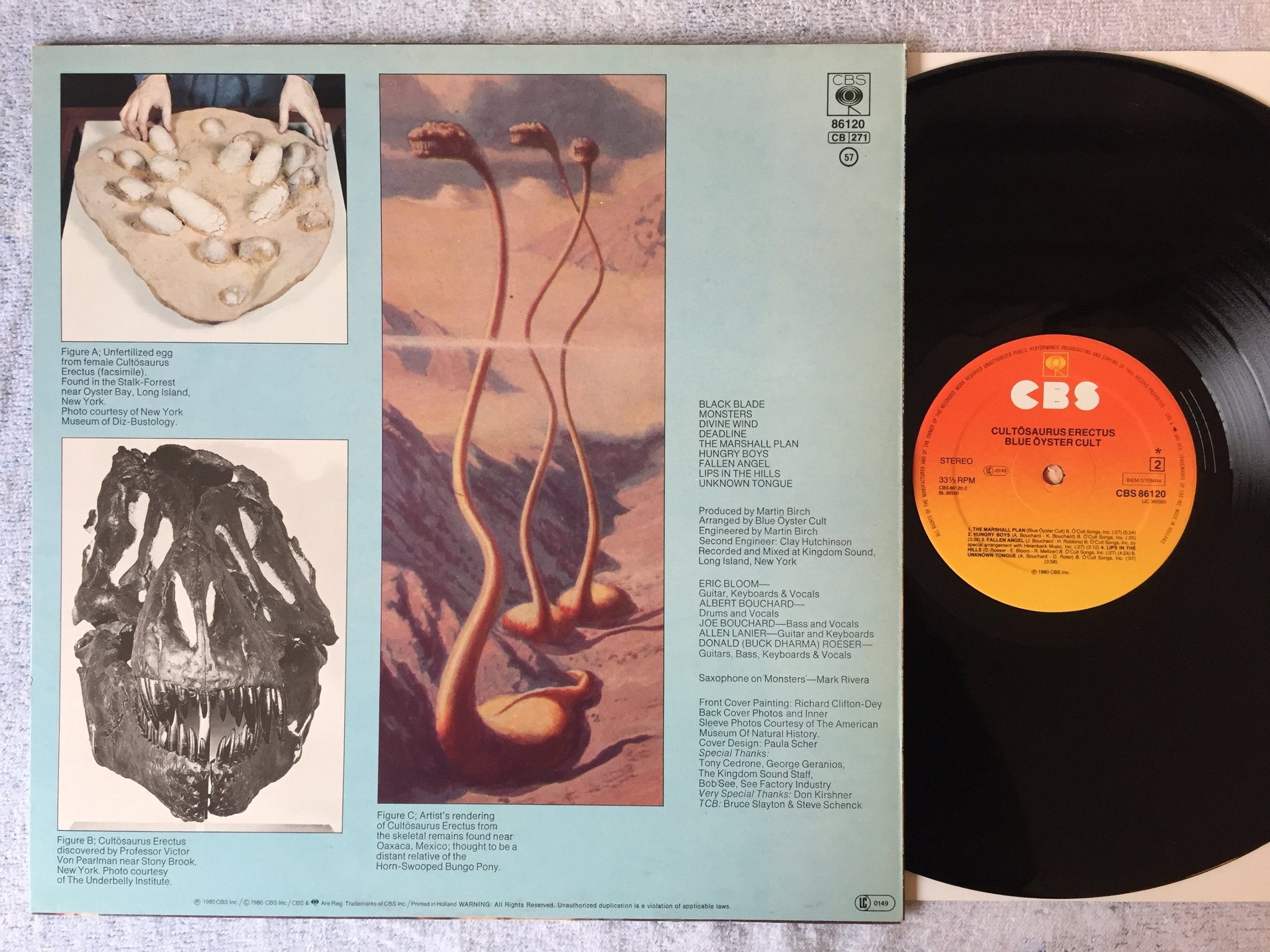 Omslagsbild för skivan BLUE ÖYSTER CULT Cultösaurus Erectus LP -80 Hol CBS 86120 