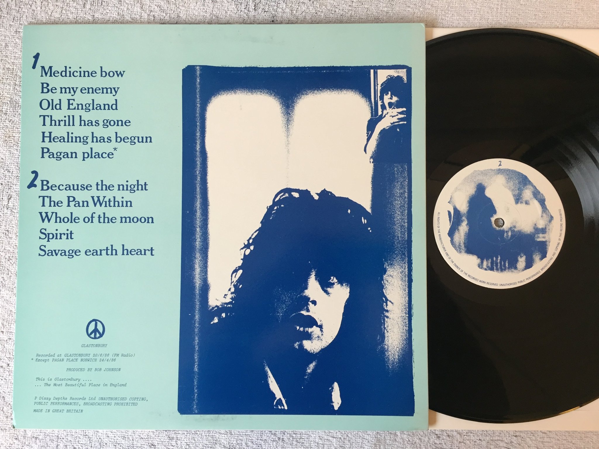 Omslagsbild för skivan THE WATERBOYS Don't Look Back LP -86 UK