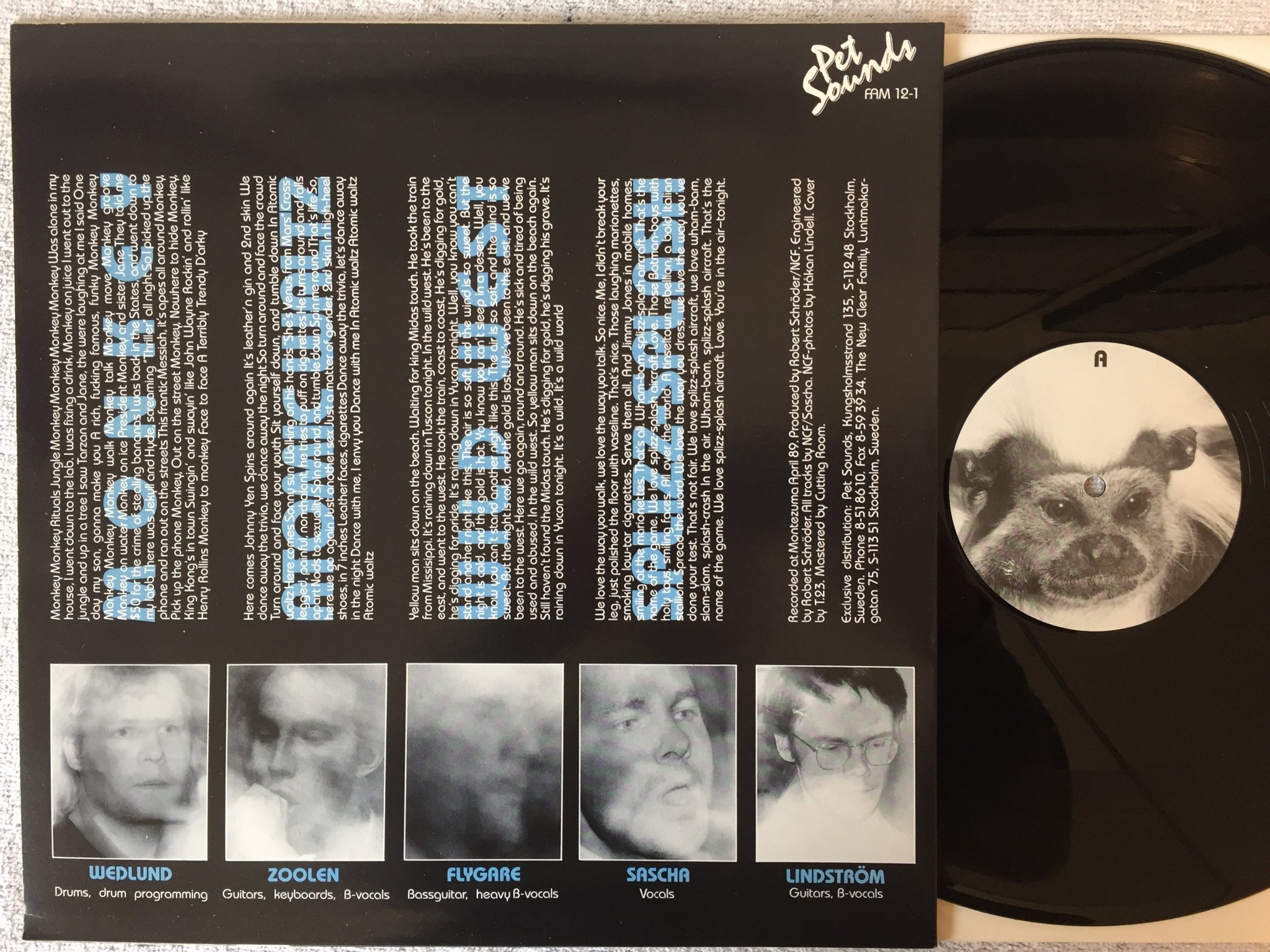 Omslagsbild för skivan THE NEW CLEAR FAMILY Monkey 12"ep -89 Swe PET SOUNDS FAM 12-1