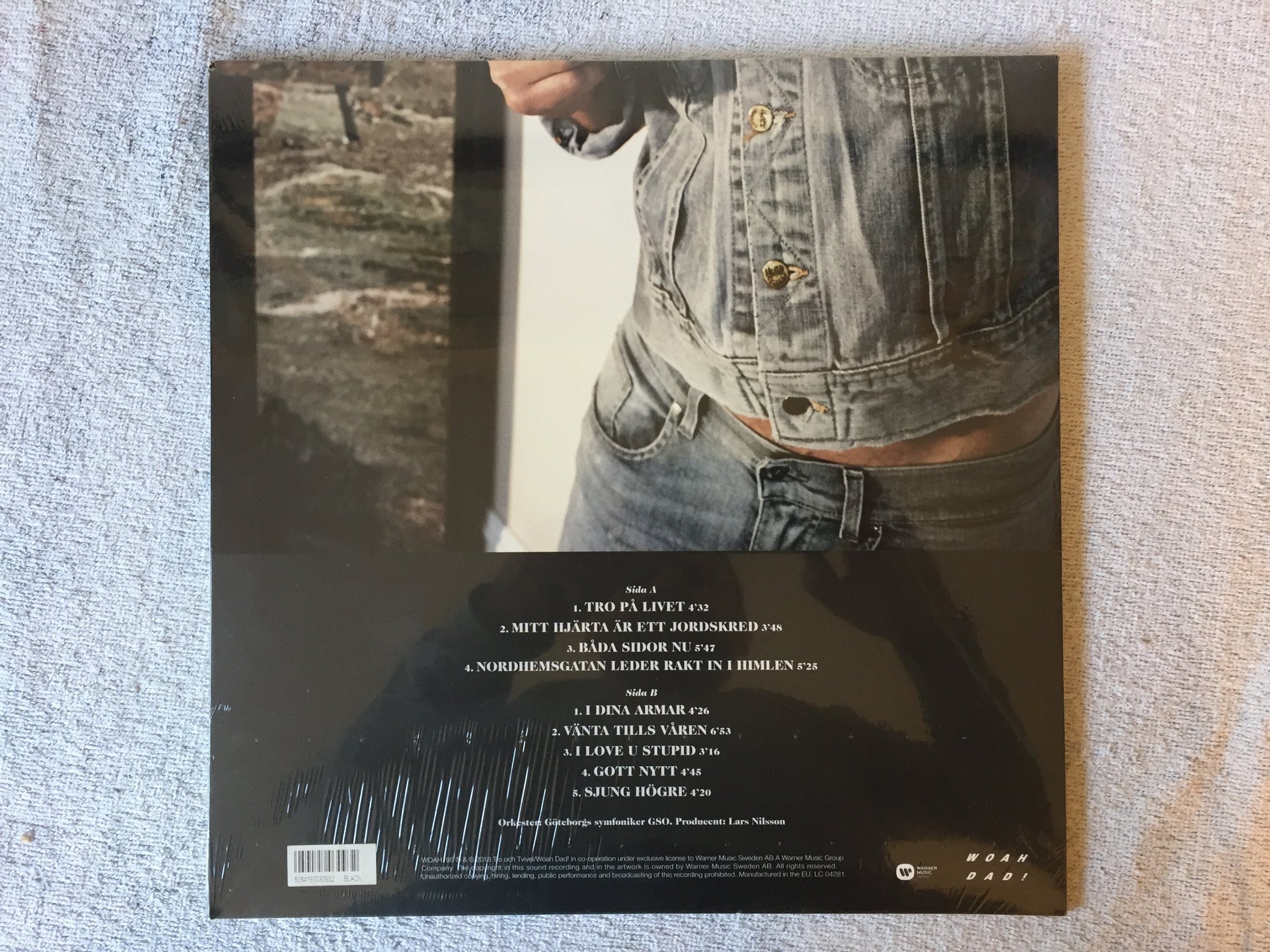 Omslagsbild för skivan HÅKAN HELLSTRÖM Illusioner LP 2018 Woah Dad! – WOAH195 still sealed