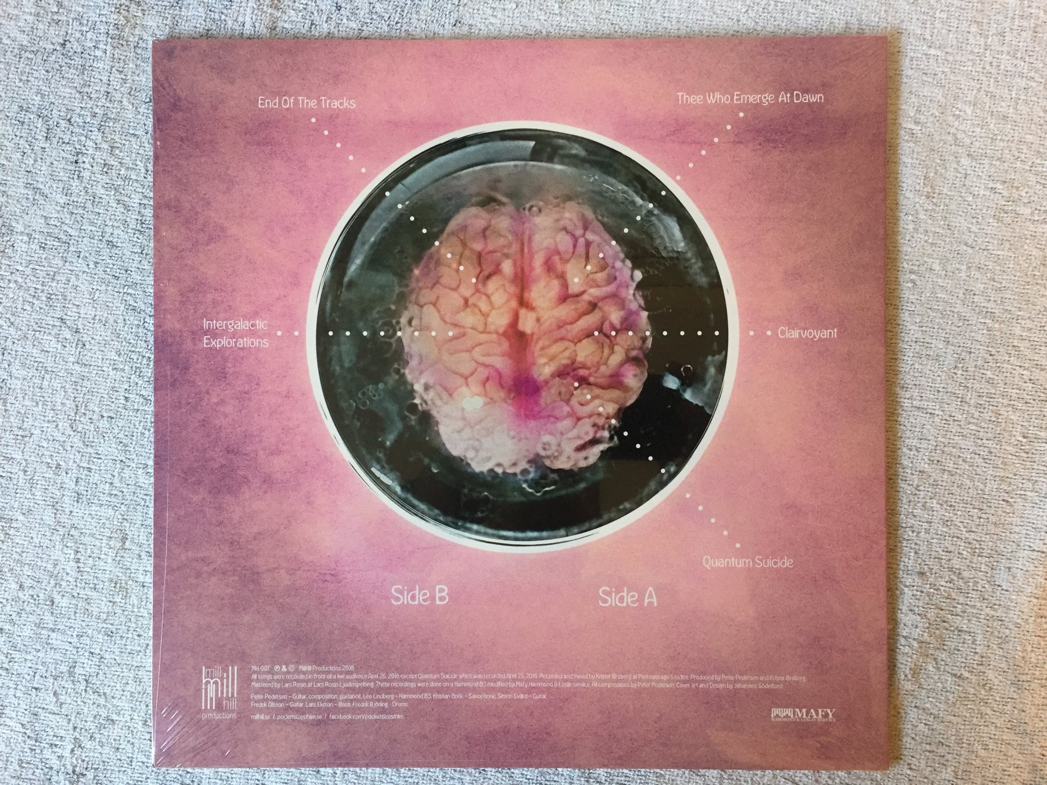 Omslagsbild för skivan POCKET SIZE Immortality - Cleaning The Mirror, Volume 2 LP 2018 MH-007 still sea