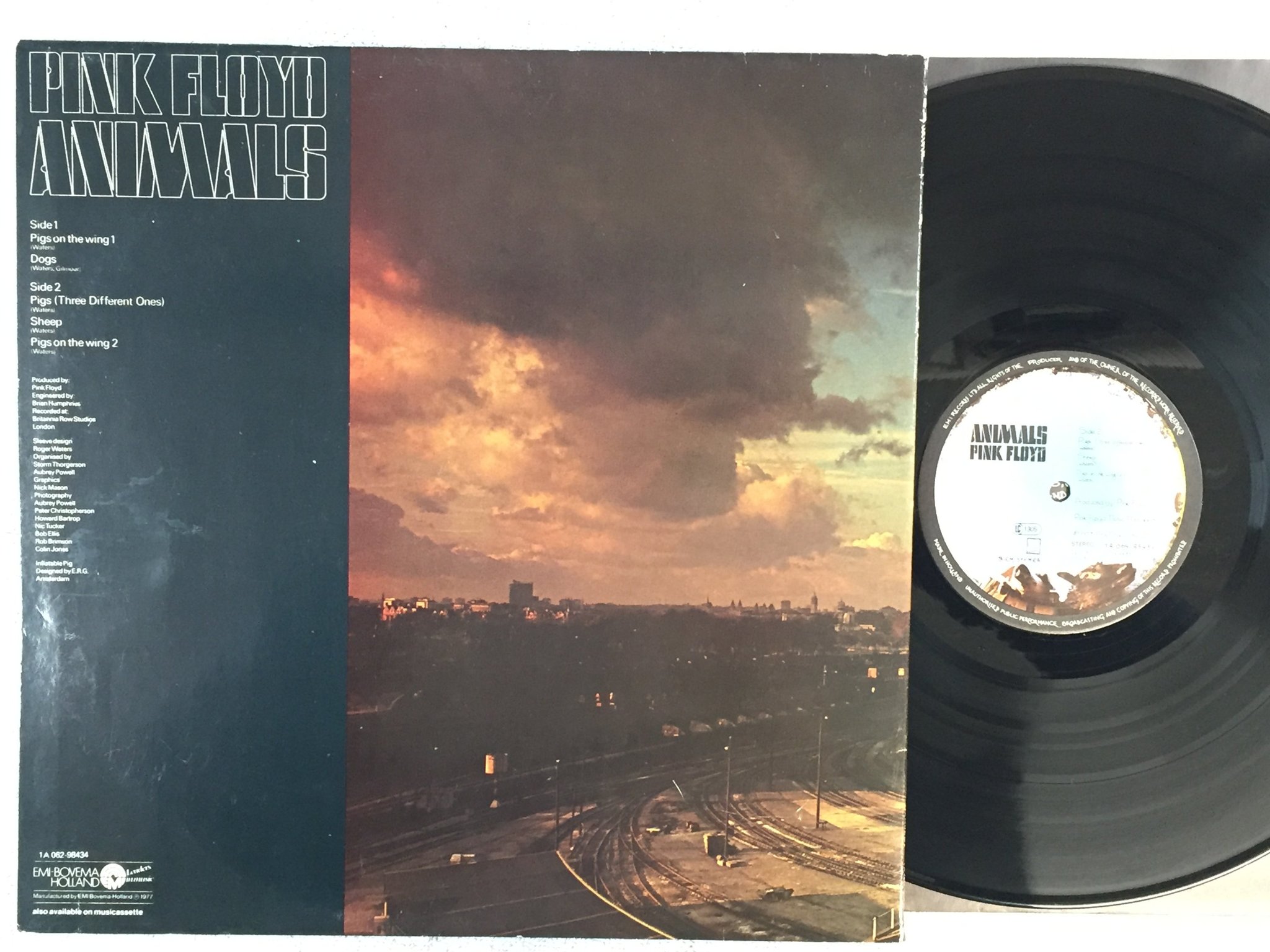 Omslagsbild för skivan PINK FLOYD animals LP -77 Hol 1A 064-98434