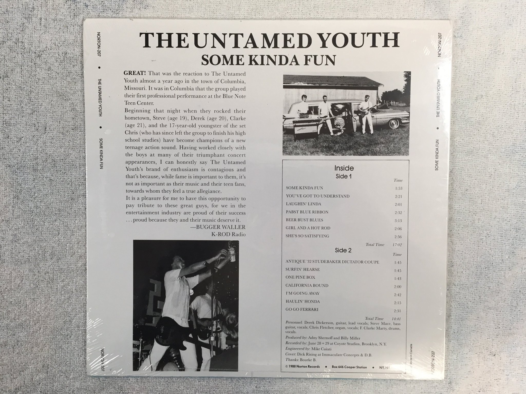 Omslagsbild för skivan THE UNTAMED YOUTH some kinda fun LP -89 US NORTON ED 207
