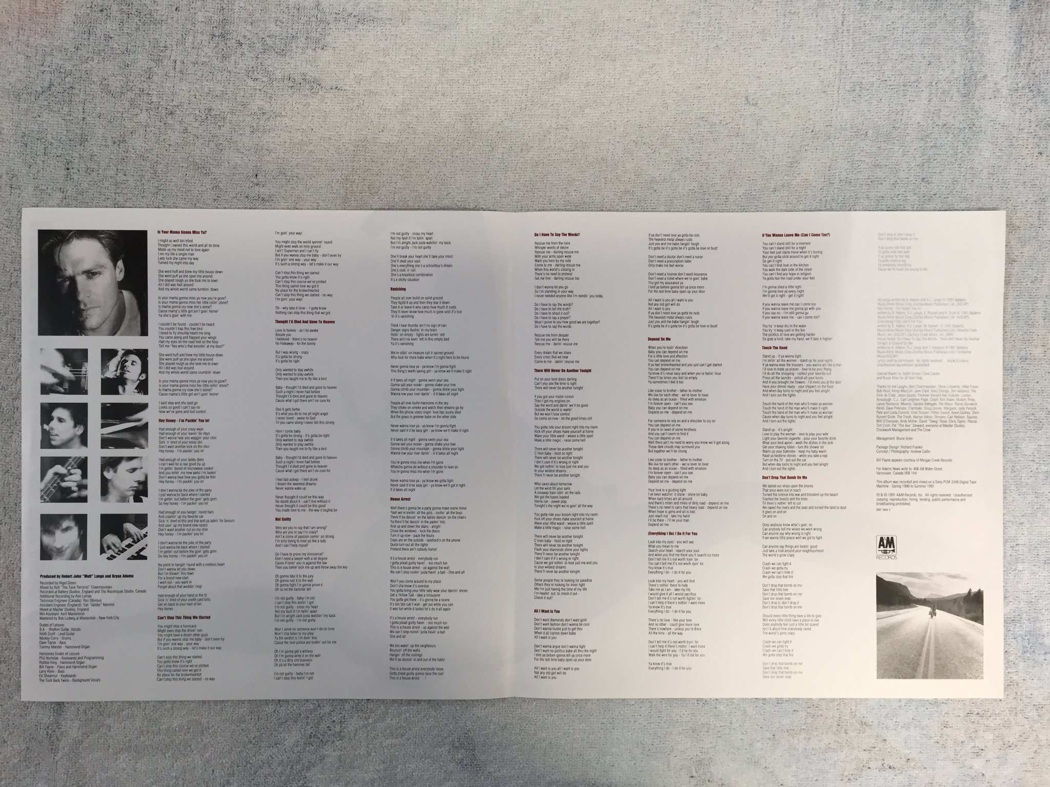 Omslagsbild för skivan BRYAN ADAMS waking up the neighbourhood 2xLP -91 Hol A&M 397 164-1