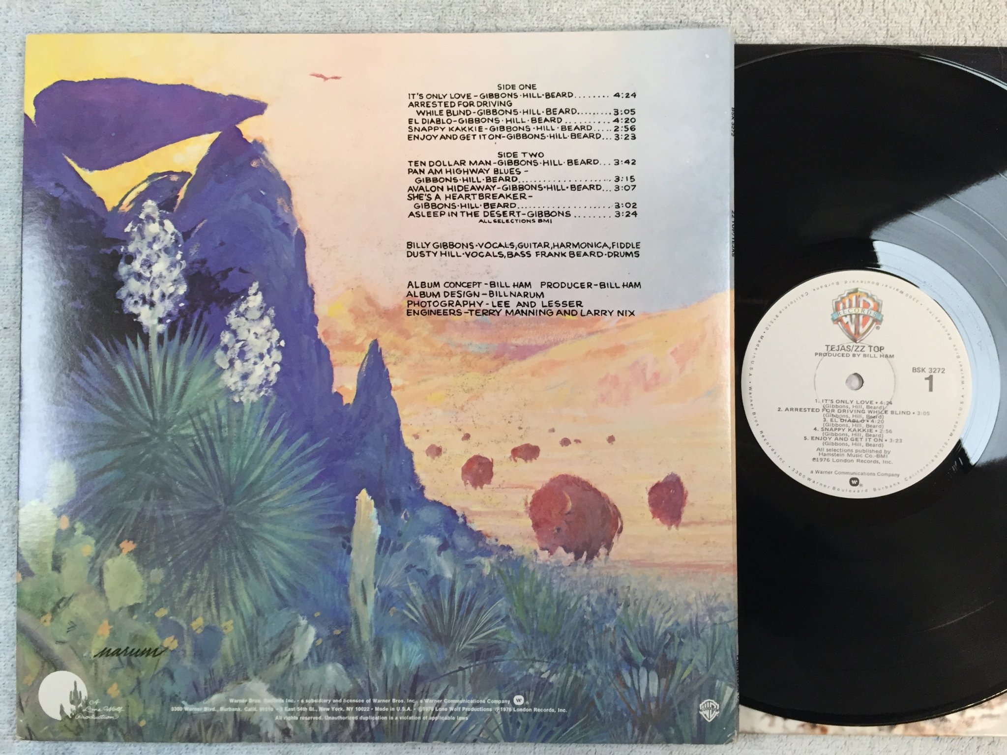 Omslagsbild för skivan ZZ TOP tejas LP -76 US WARNER BROS BSK 3272