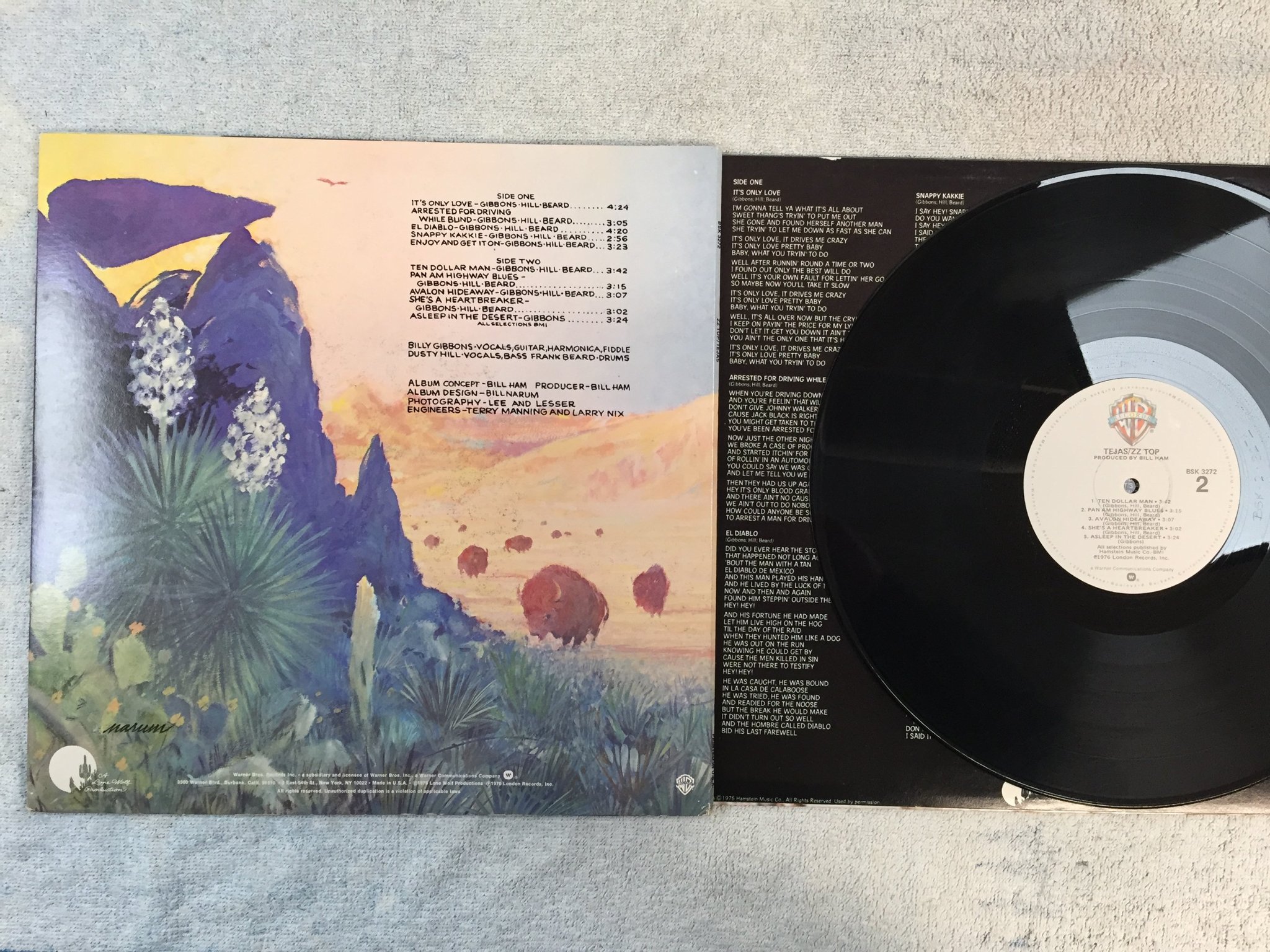 Omslagsbild för skivan ZZ TOP tejas LP -76 US WARNER BROS BSK 3272