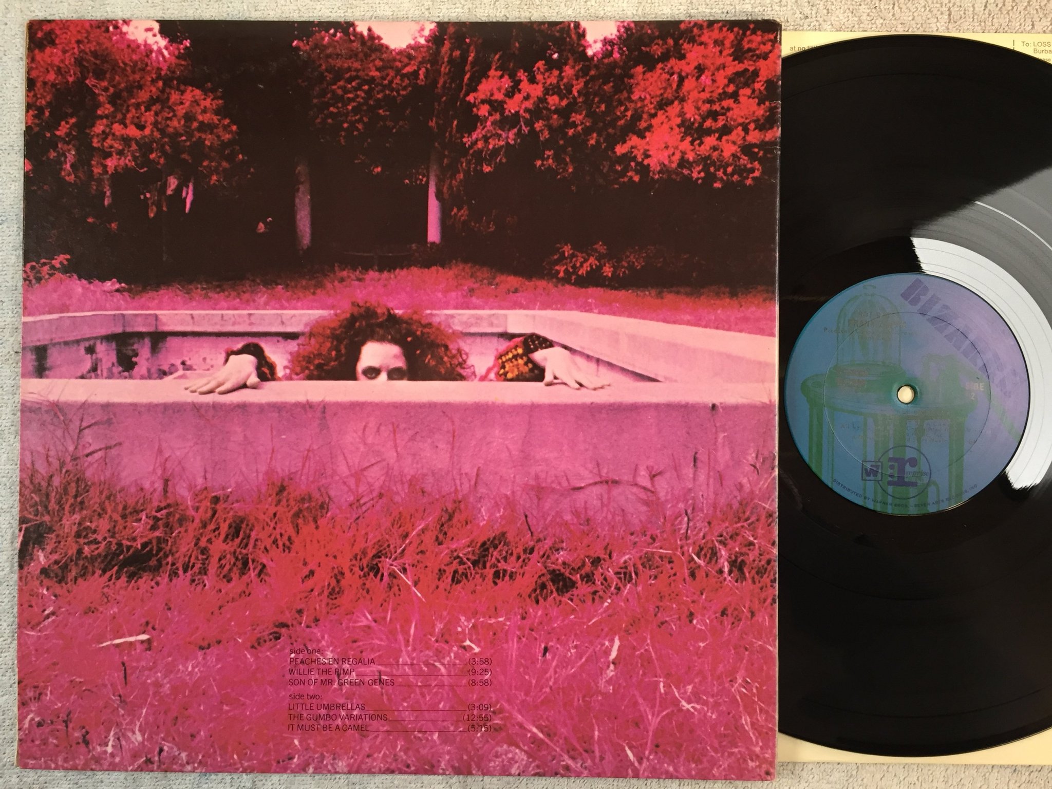 Omslagsbild för skivan FRANK ZAPPA hot rats LP -69 US BIZARRE RS 6356 