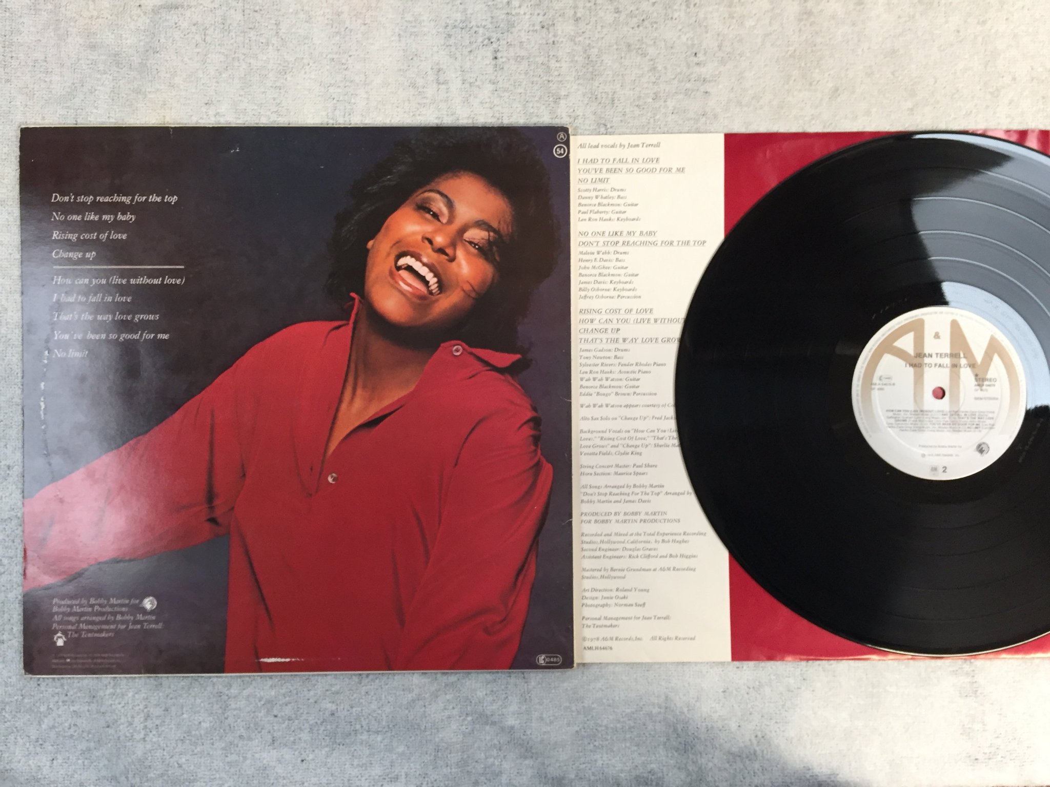 Omslagsbild för skivan JEAN TERRELL I had to fall in love LP -78 Hol A&M AMLH-64676