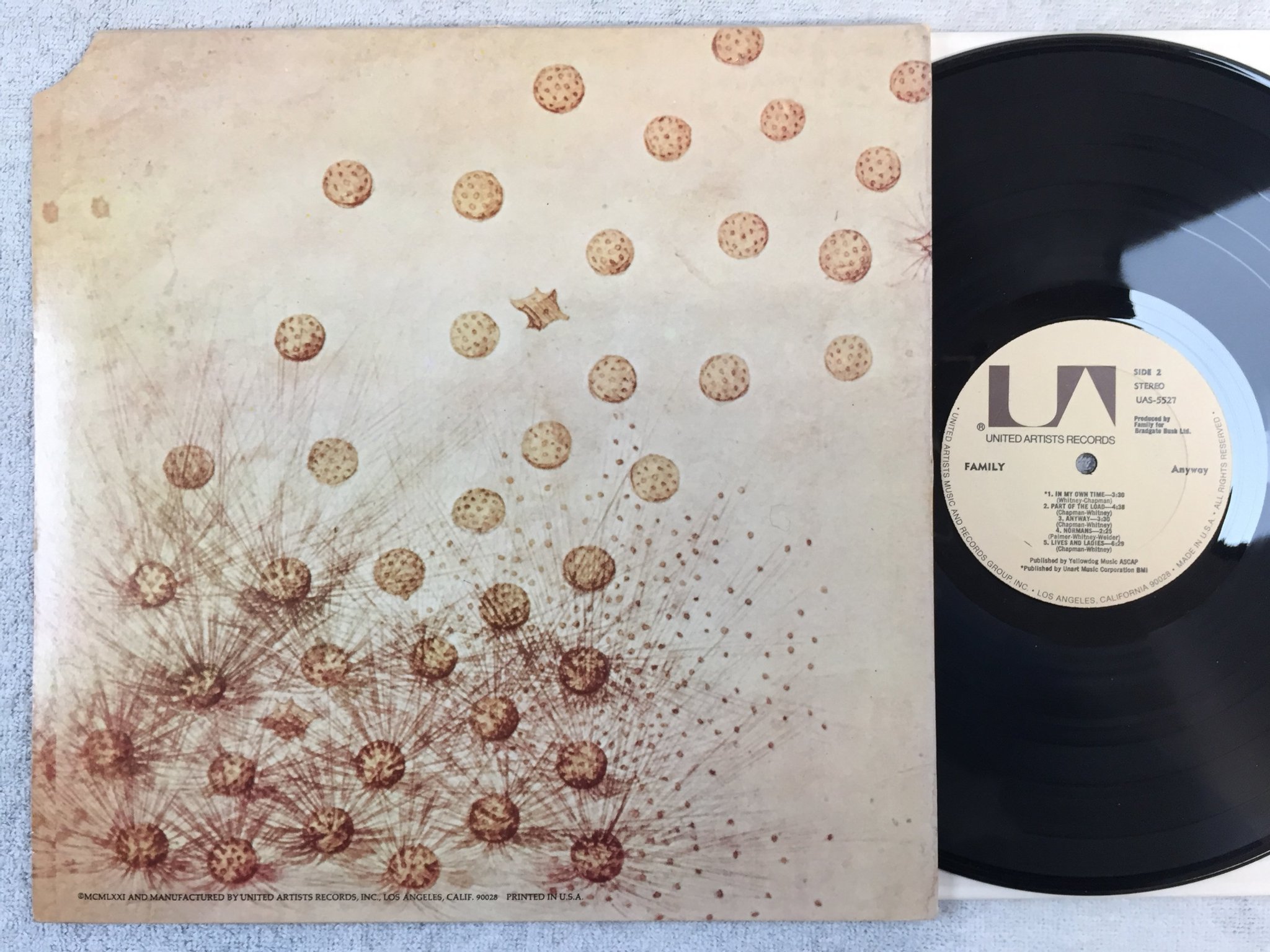 Omslagsbild för skivan FAMILY anyway LP US UNITED ARTISTS UAS 5527