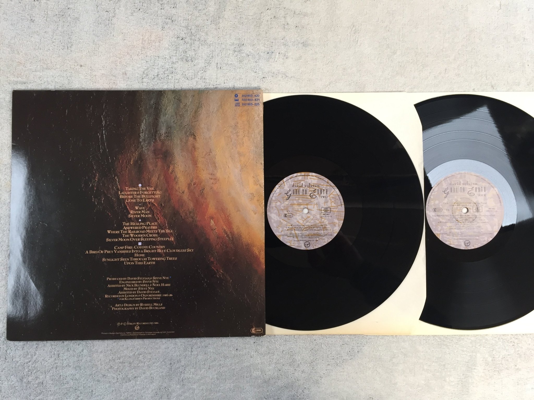 Omslagsbild för skivan DAVID SYLVIAN gone to earth 2xLP -86 Hol VIRGIN 302802
