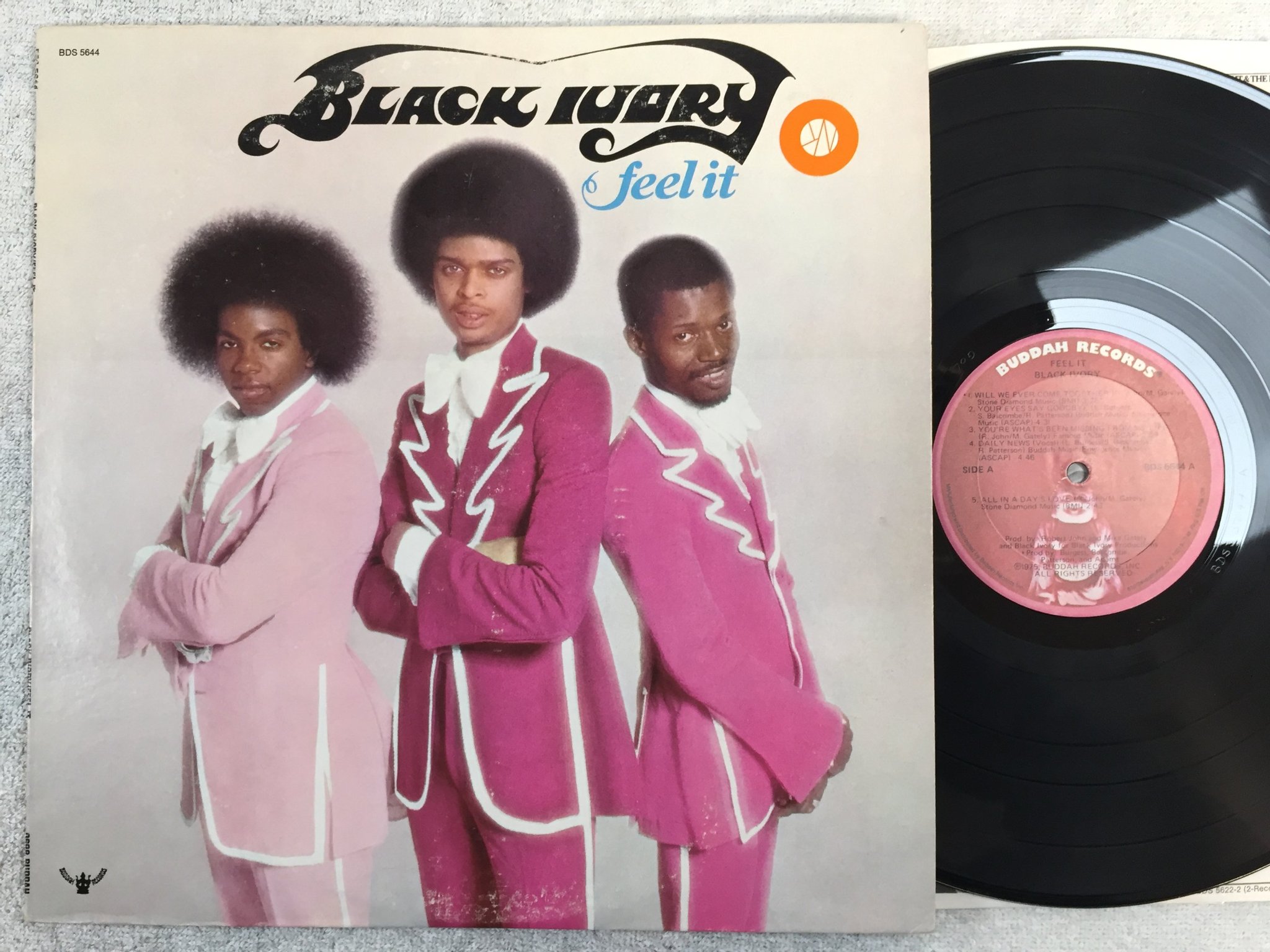 Omslagsbild för skivan BLACK IVORY feel it LP -75 US BUDDAH BDS 5644 