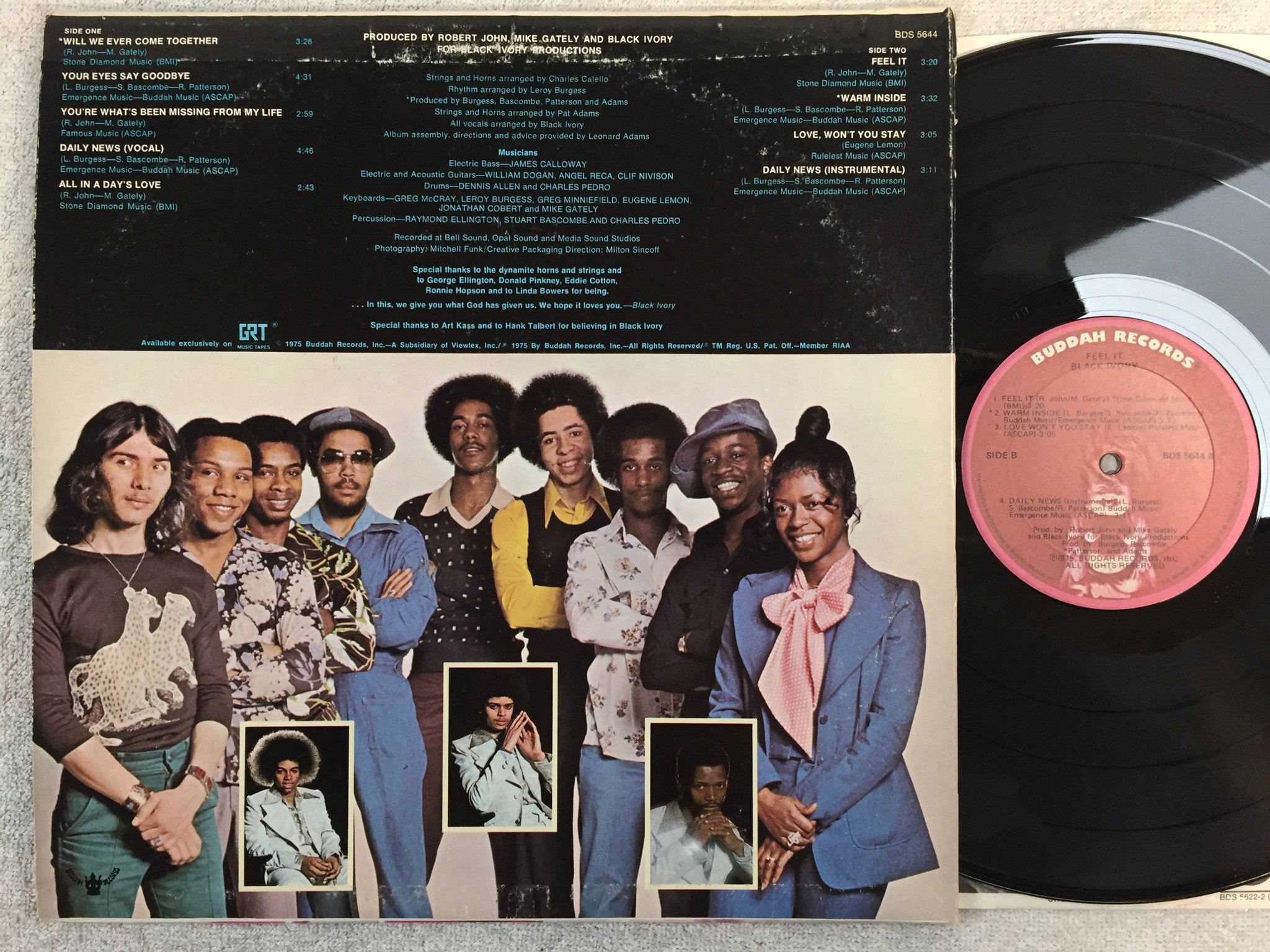 Omslagsbild för skivan BLACK IVORY feel it LP -75 US BUDDAH BDS 5644 