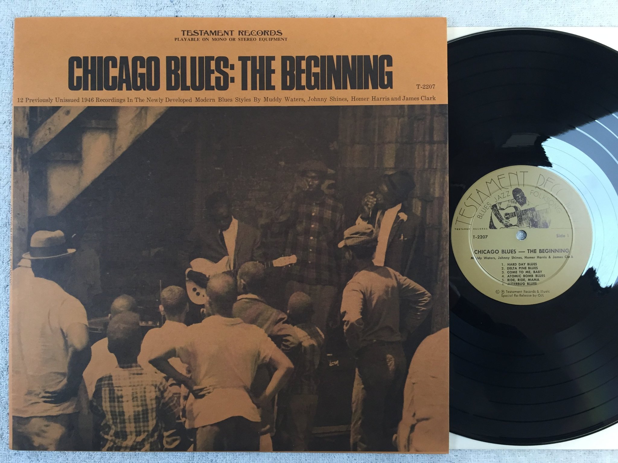 Omslagsbild för skivan Muddy Waters m.fl Chicago blues - the beginning LP TESTAMENT T-2207