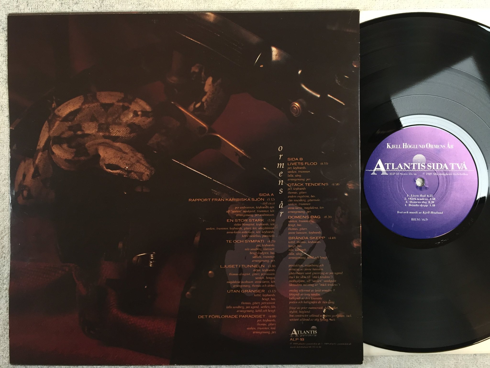 Omslagsbild för skivan KJELL HÖGLUND ormens år LP -89 Swe ATLANTIS ALP 16