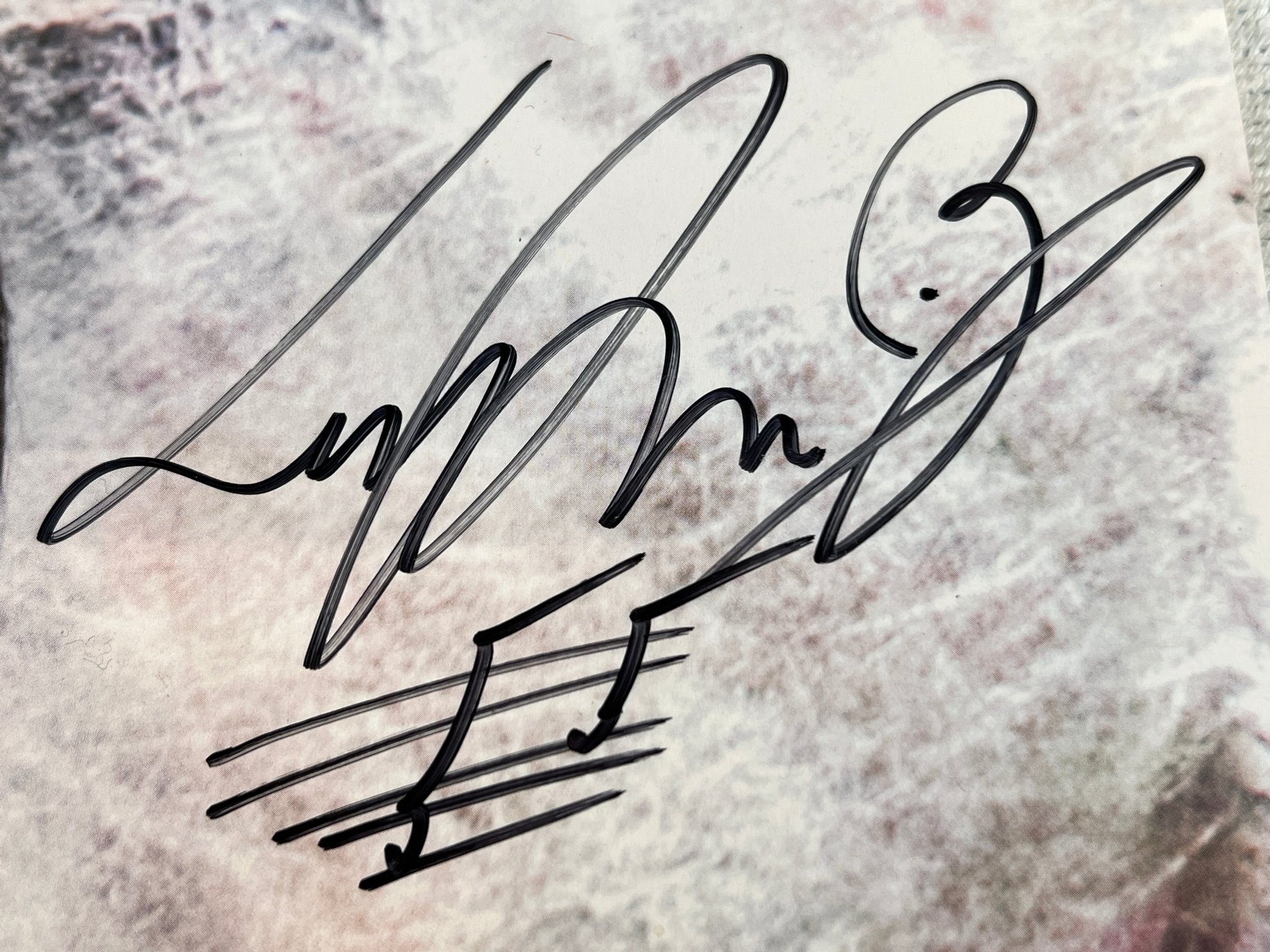 Omslagsbild för skivan LALEH colors LP 2013 WARNER MUSIC 5053105-9428-7 signed ! ! ! ! 