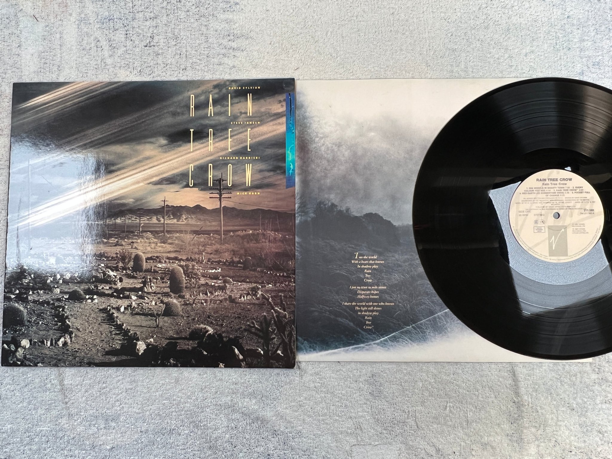 Omslagsbild för skivan RAIN TREE CROW s/t LP -91 Ger VIRGIN 211 380