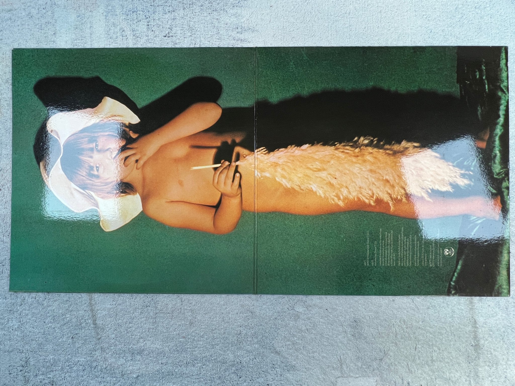 Omslagsbild för skivan EDGAR FROESE epsilon in malaysian pale LP -75 VIRGIN V 2040