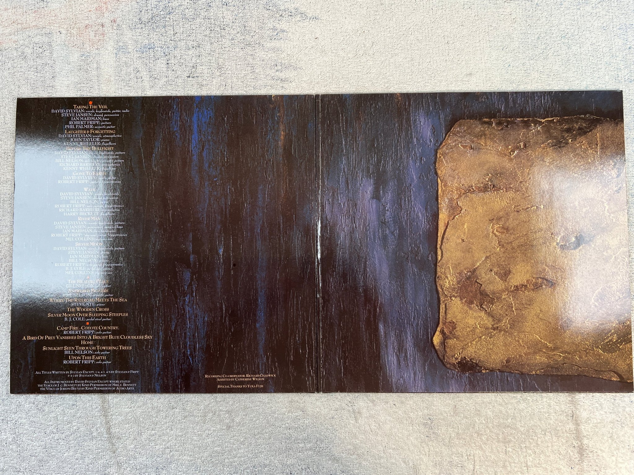 Omslagsbild för skivan DAVID SYLVAIN Gone To Earth 2xLP -86 VIRGIN 302 803-420  