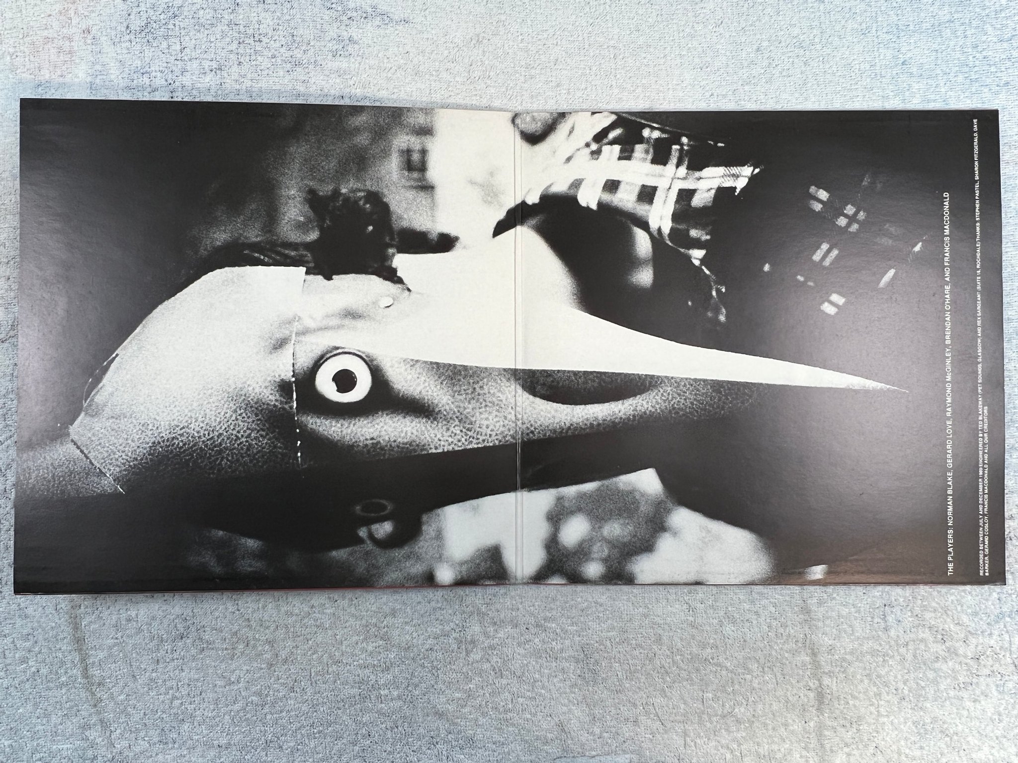 Omslagsbild för skivan TEENAGE FANCLUB A Catholic Education LP -90 UK PAPERHOUSE PAPLP004