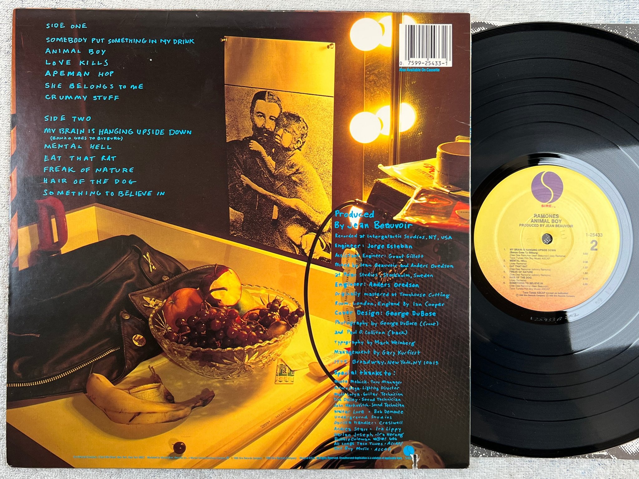 Omslagsbild för skivan RAMONES animal boy LP -88 US SIRE 1-25433 SRC pressing 