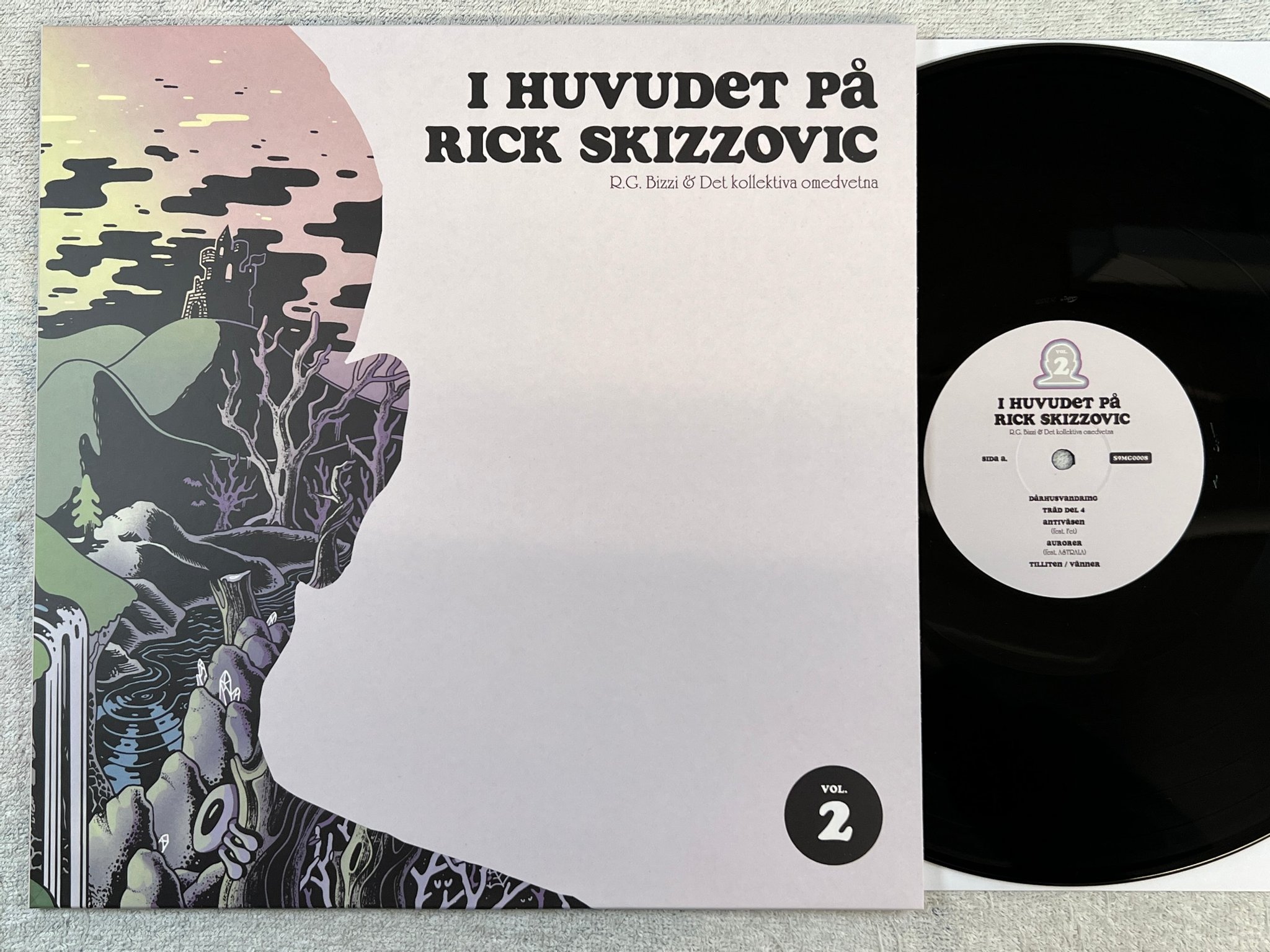 Omslagsbild för skivan R.G. BIZZI I huvudet på .. vol 2 LP 2022 Swe SXXB900MG – S9MG0008