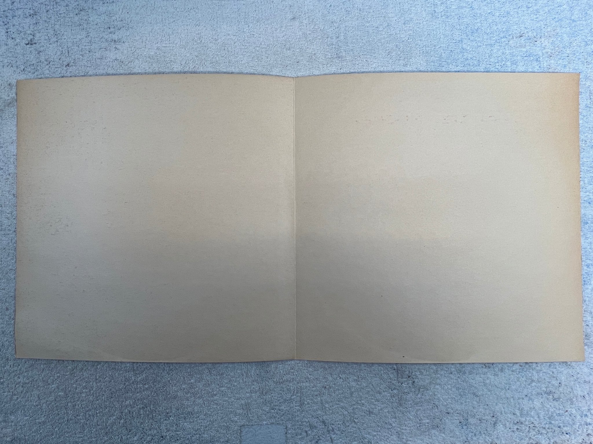 Omslagsbild för skivan JOHN LEE HOOKER Plays & Sings The Blues LP Hol CHESS INT PAR 099 