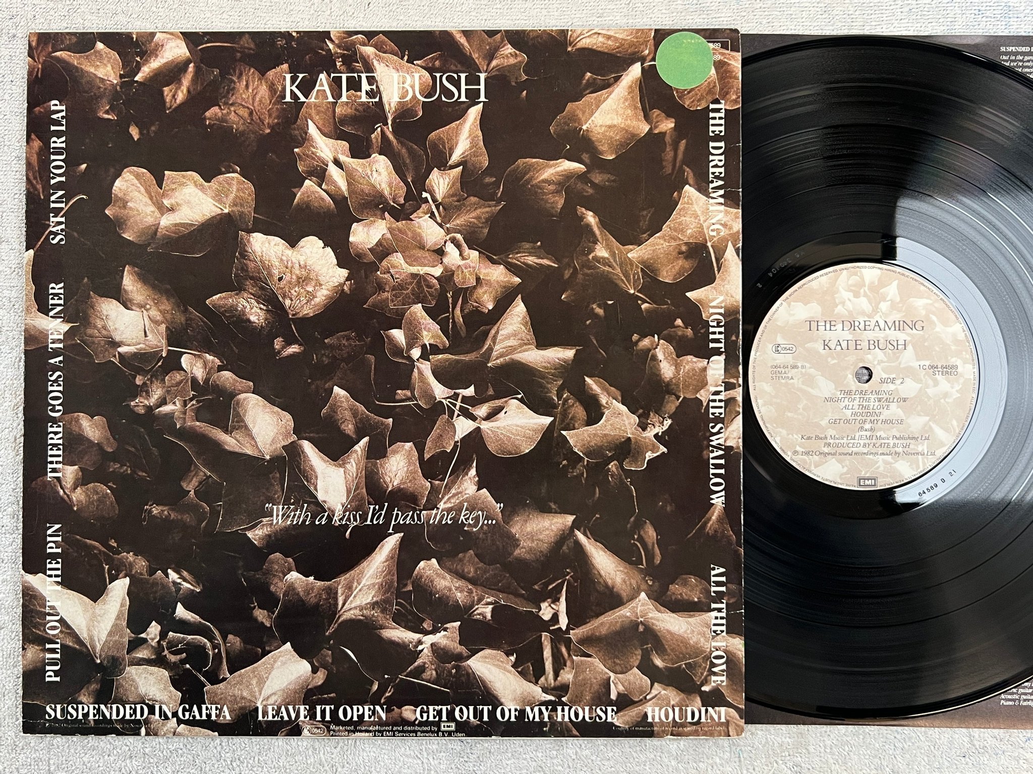 Omslagsbild för skivan KATE BUSH the dreaming LP -82 Hol EMI 1C 064-64589